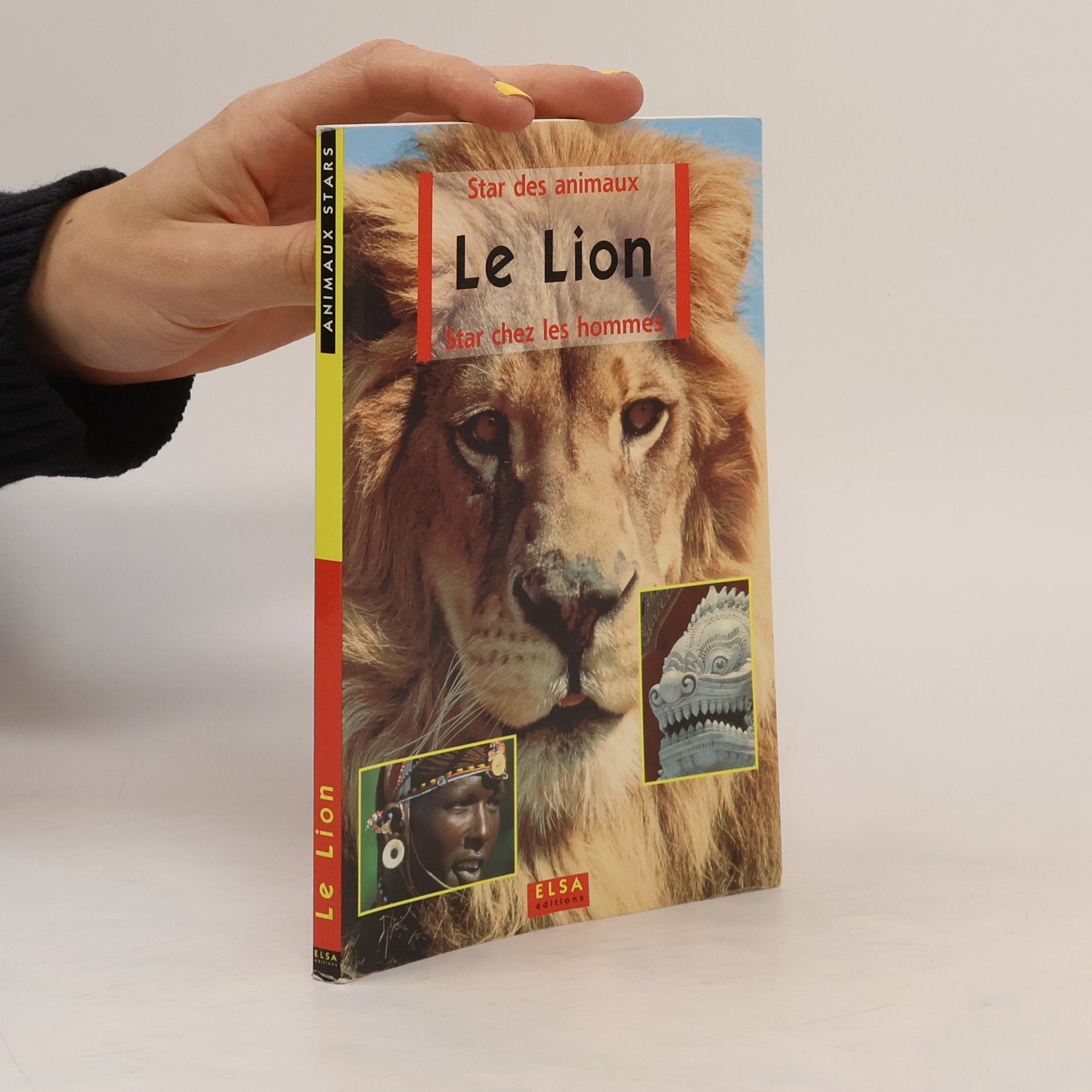 Collectif d'auteurs Le Lion