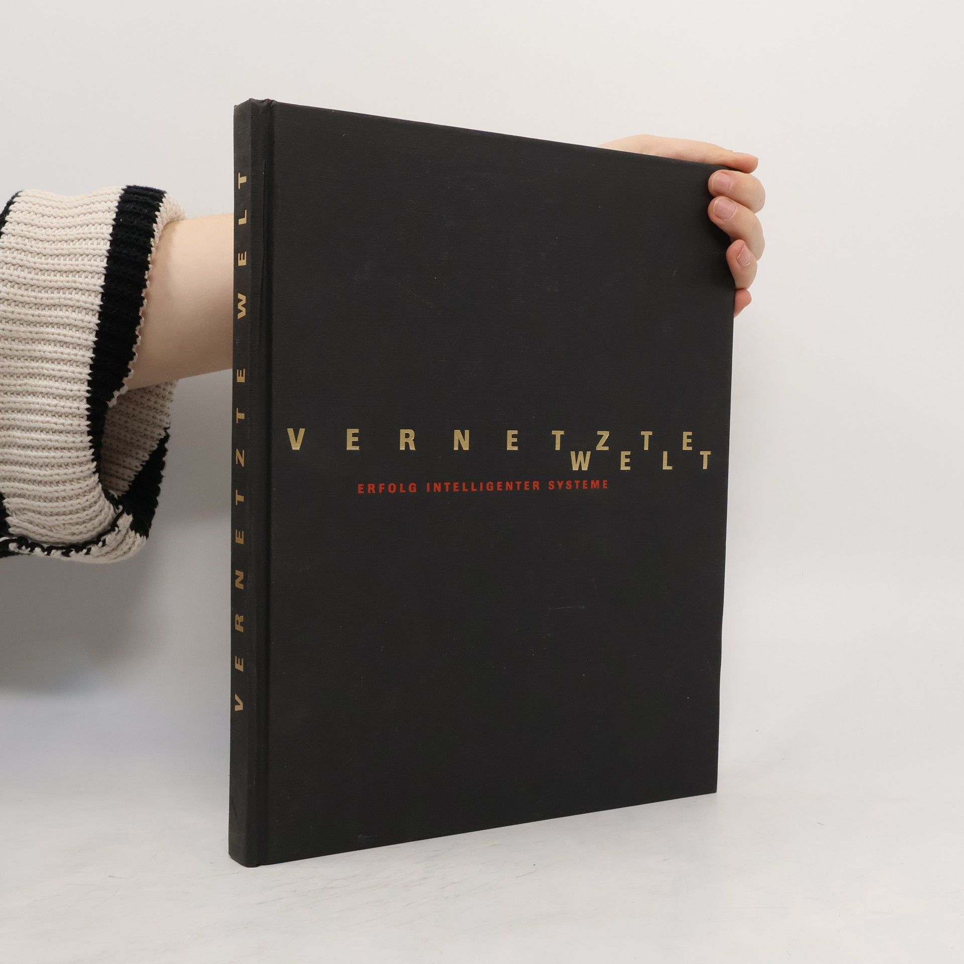 Collectif d'auteurs Vernetzte Welt: Erfolg intelligenter Systeme