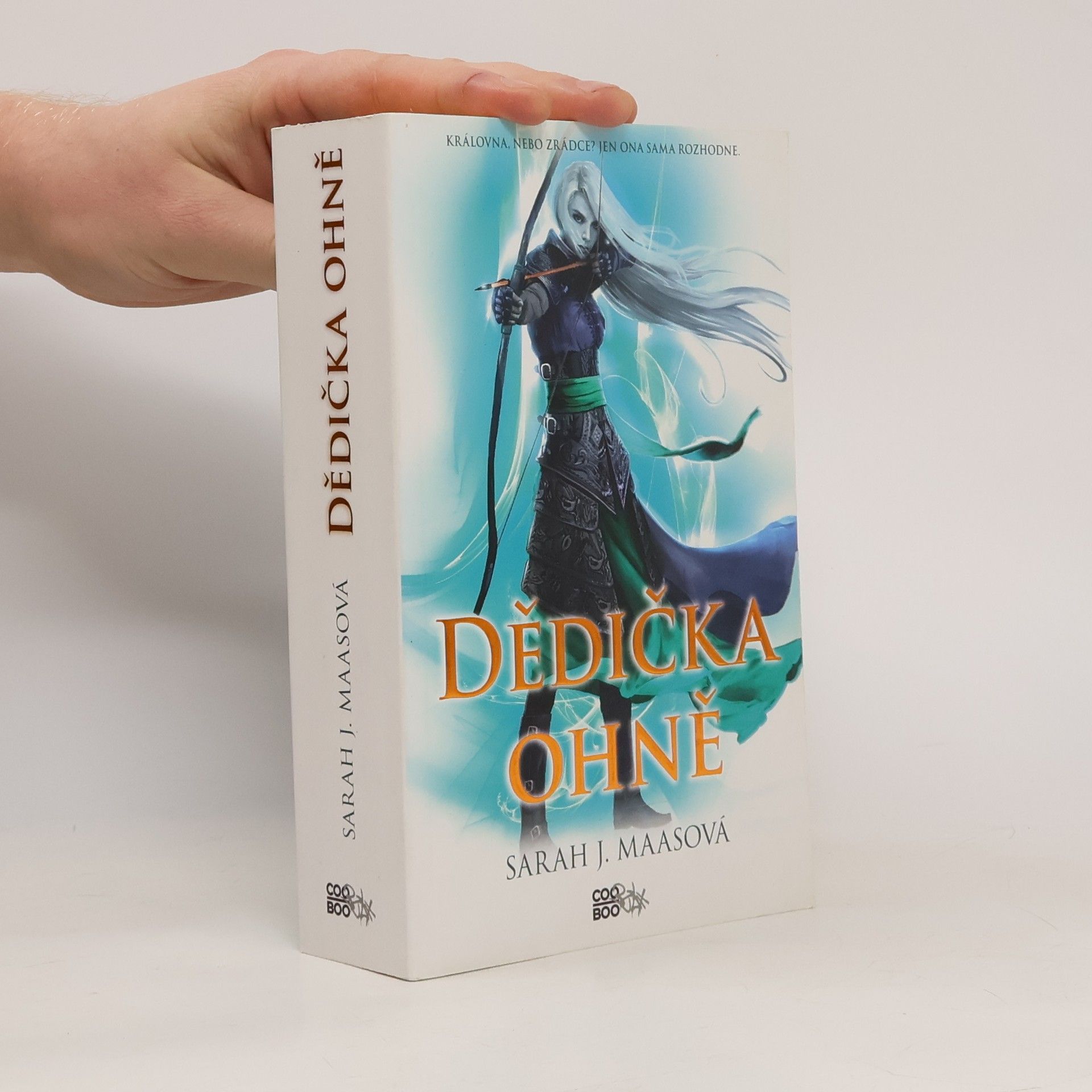 Sarah J. Maas Dědička ohně