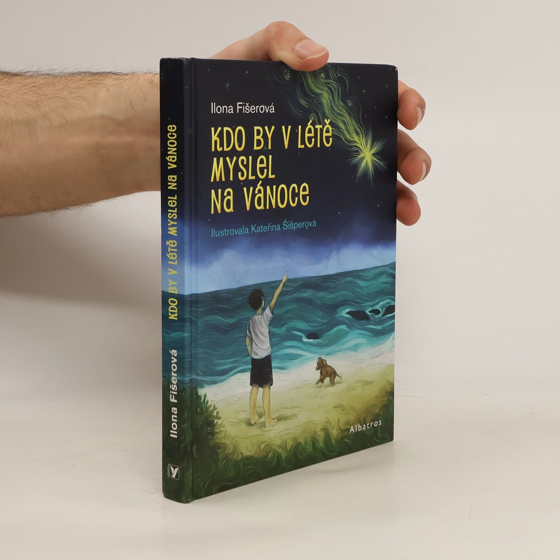 Ilona Fišerová Kdo by v létě myslel na Vánoce