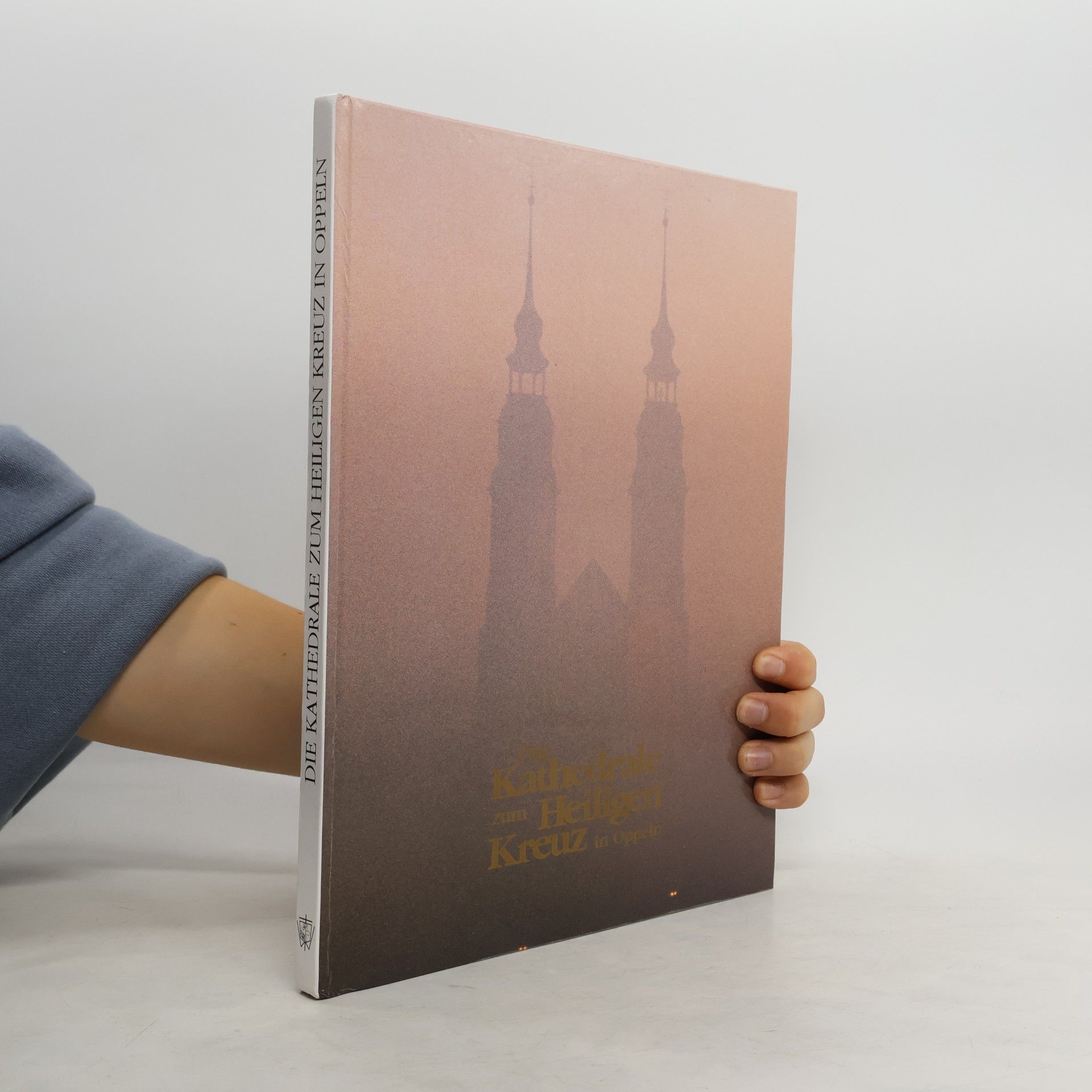 Stefan Baldy Die Kathedrale zum Heiligen Kreuz in Oppeln