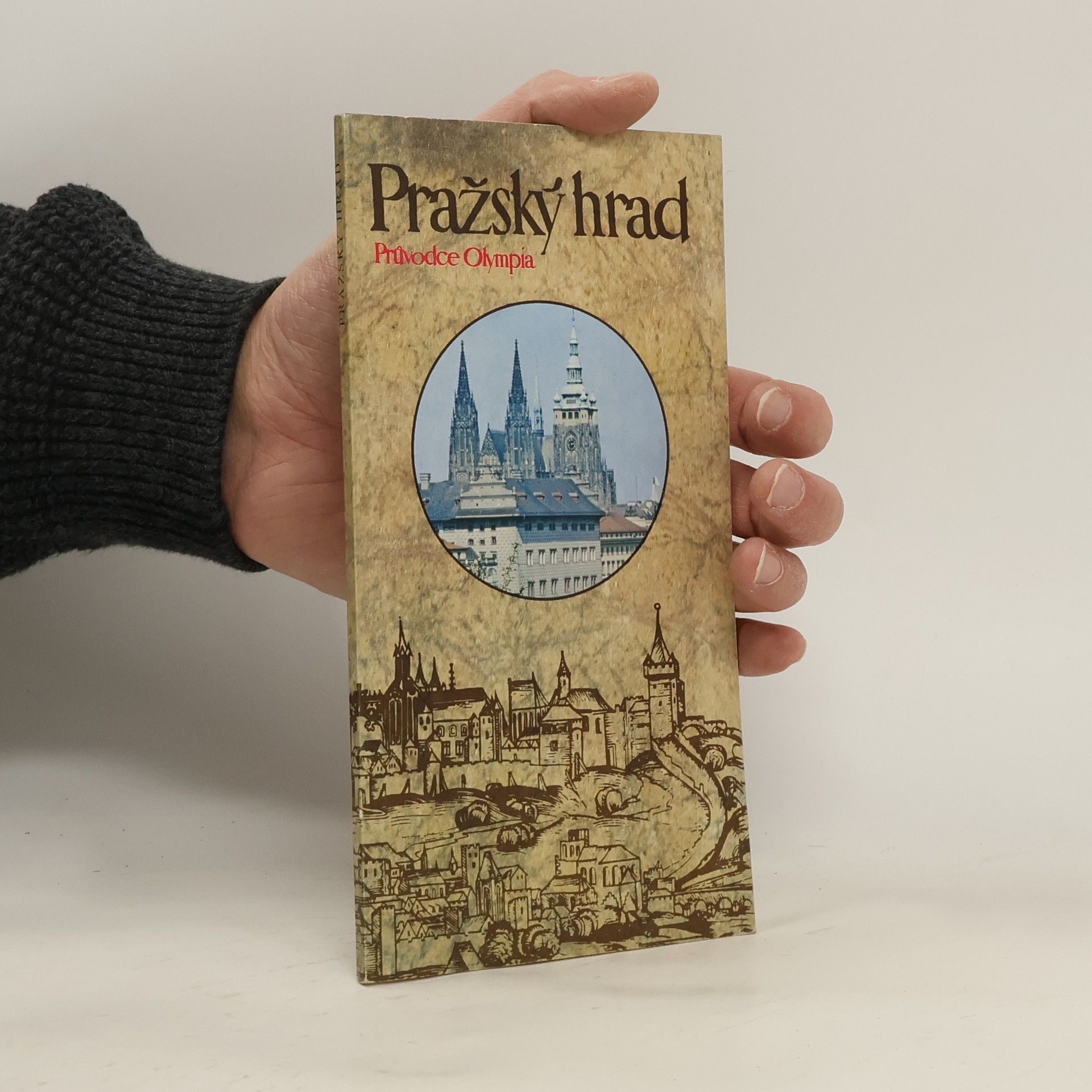 Collectif d'auteurs Pražský hrad