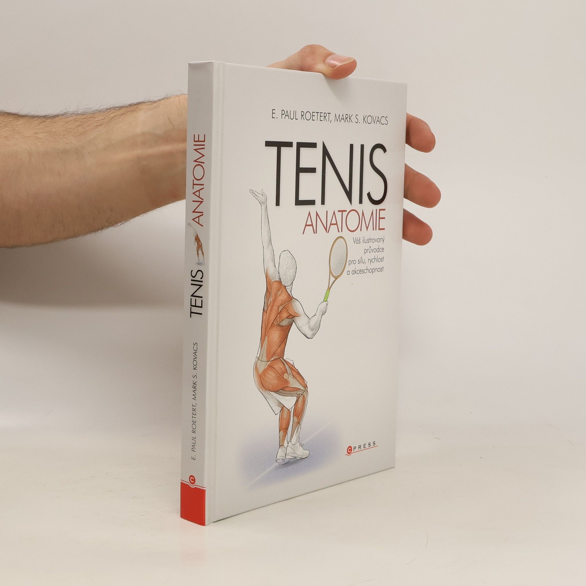 Paul Roetert Tenis: Anatomie