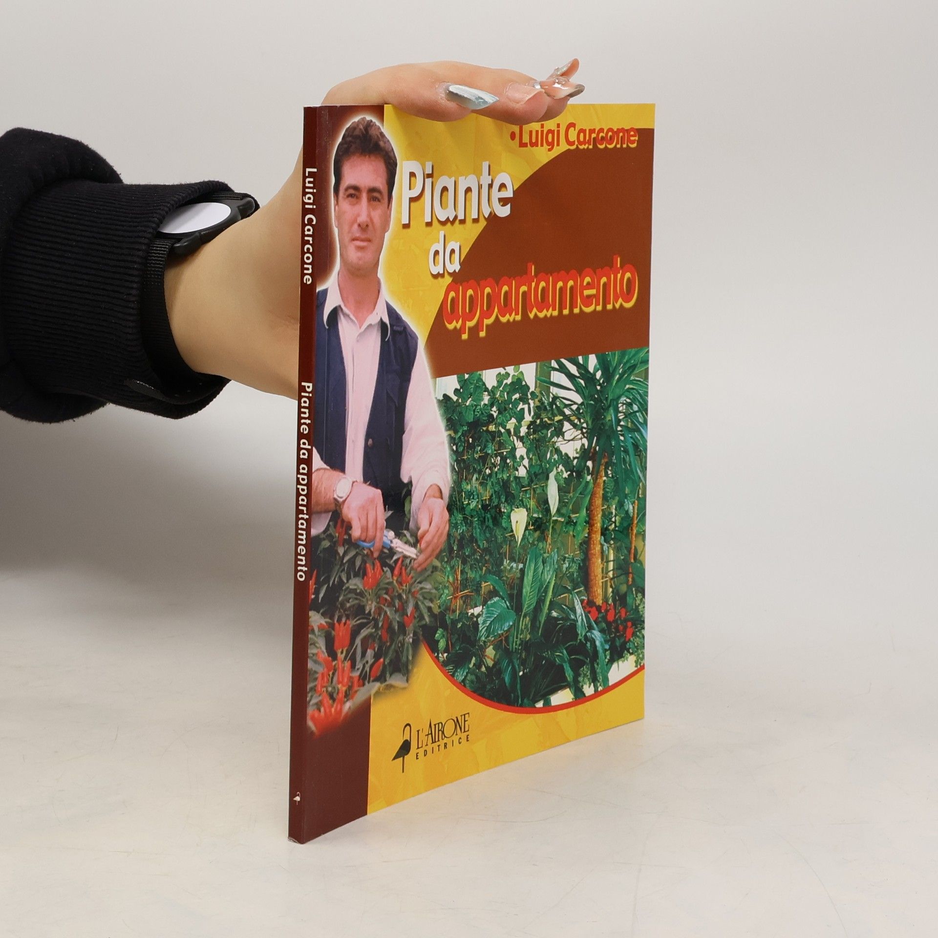 Luigi Carcone Piante da appartamento