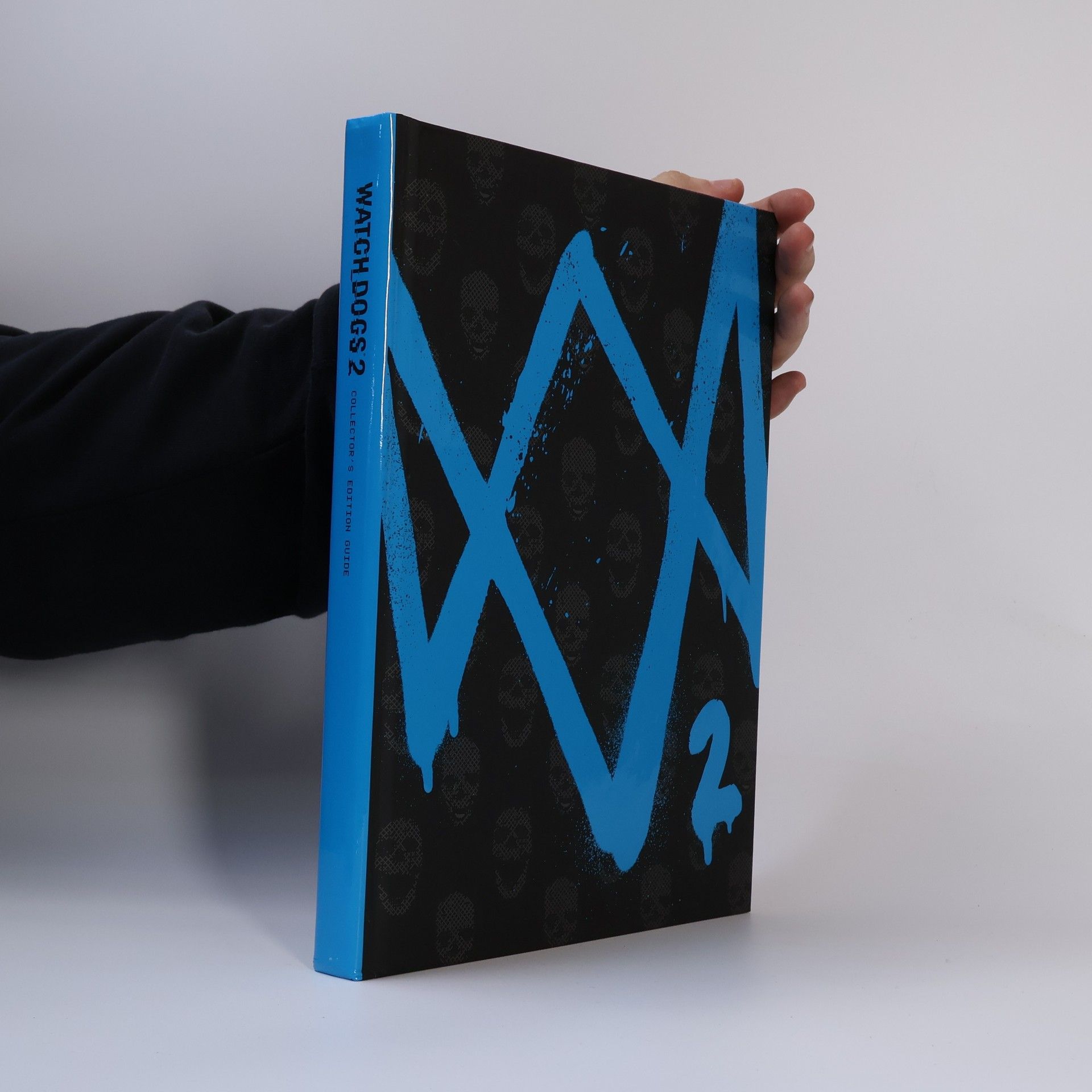 Judge David Hodgson Watch Dogs 2