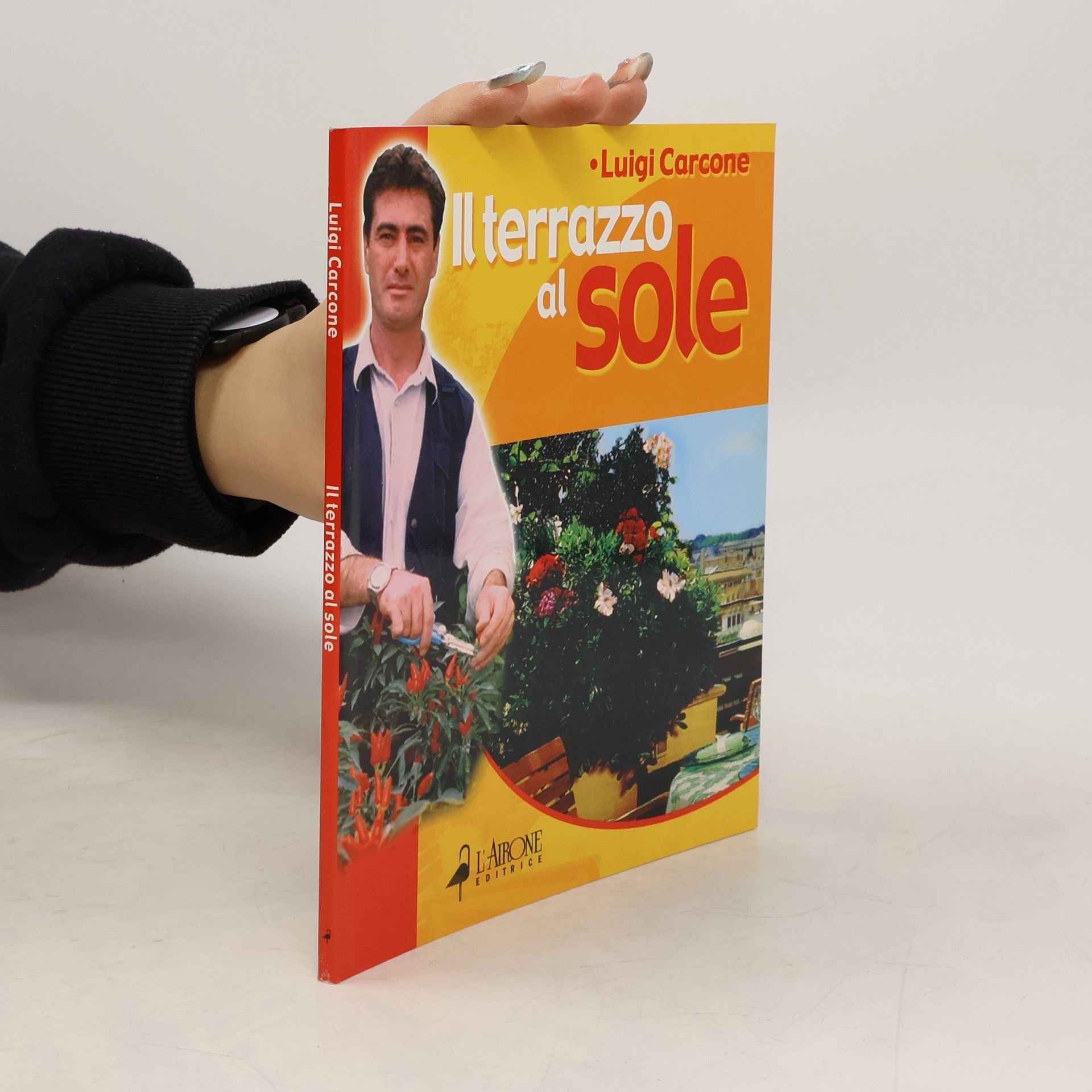 Luigi Carcone Il terrazzo al sole ordinato e rigoglioso