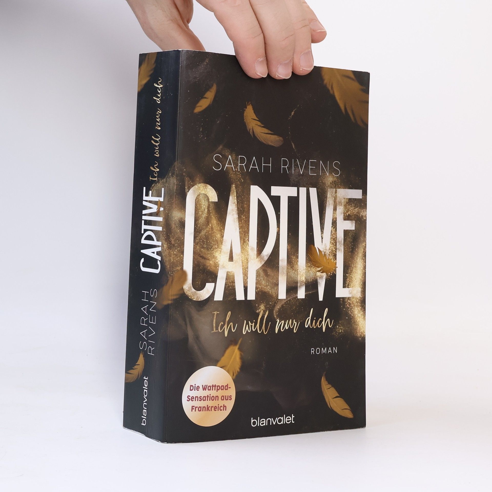Sarah Rivens Captive - Ich will nur dich