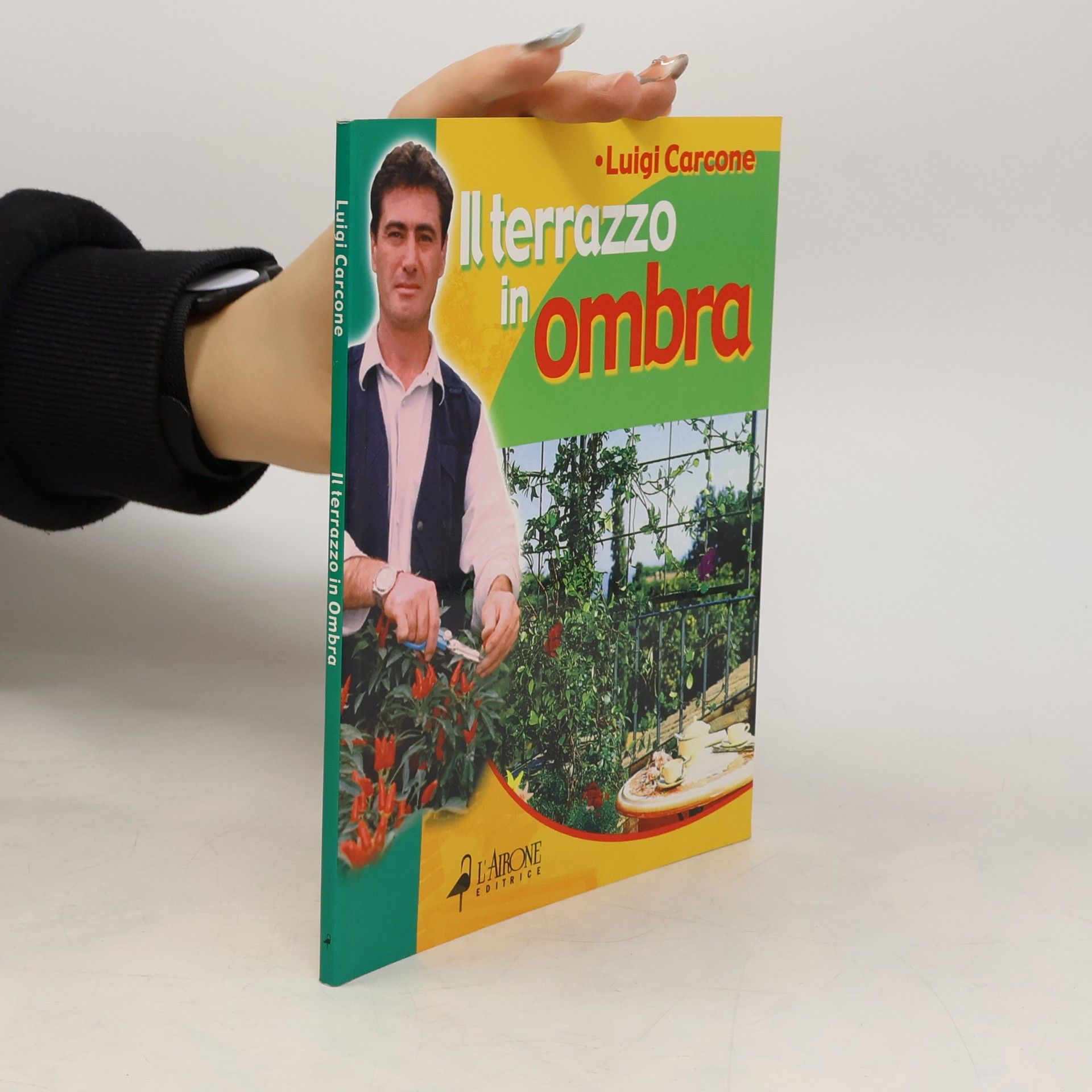 Luigi Carcone Il terrazzo in ombra