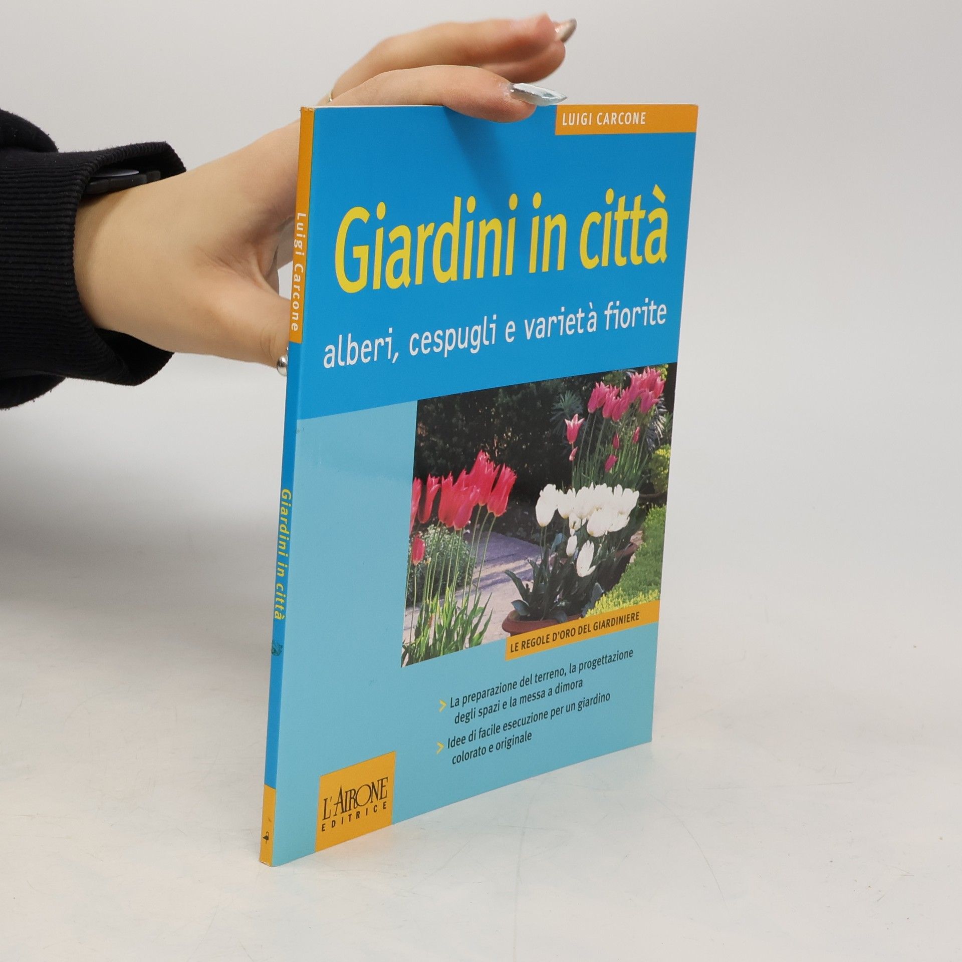 Luigi Carcone Giardini in città