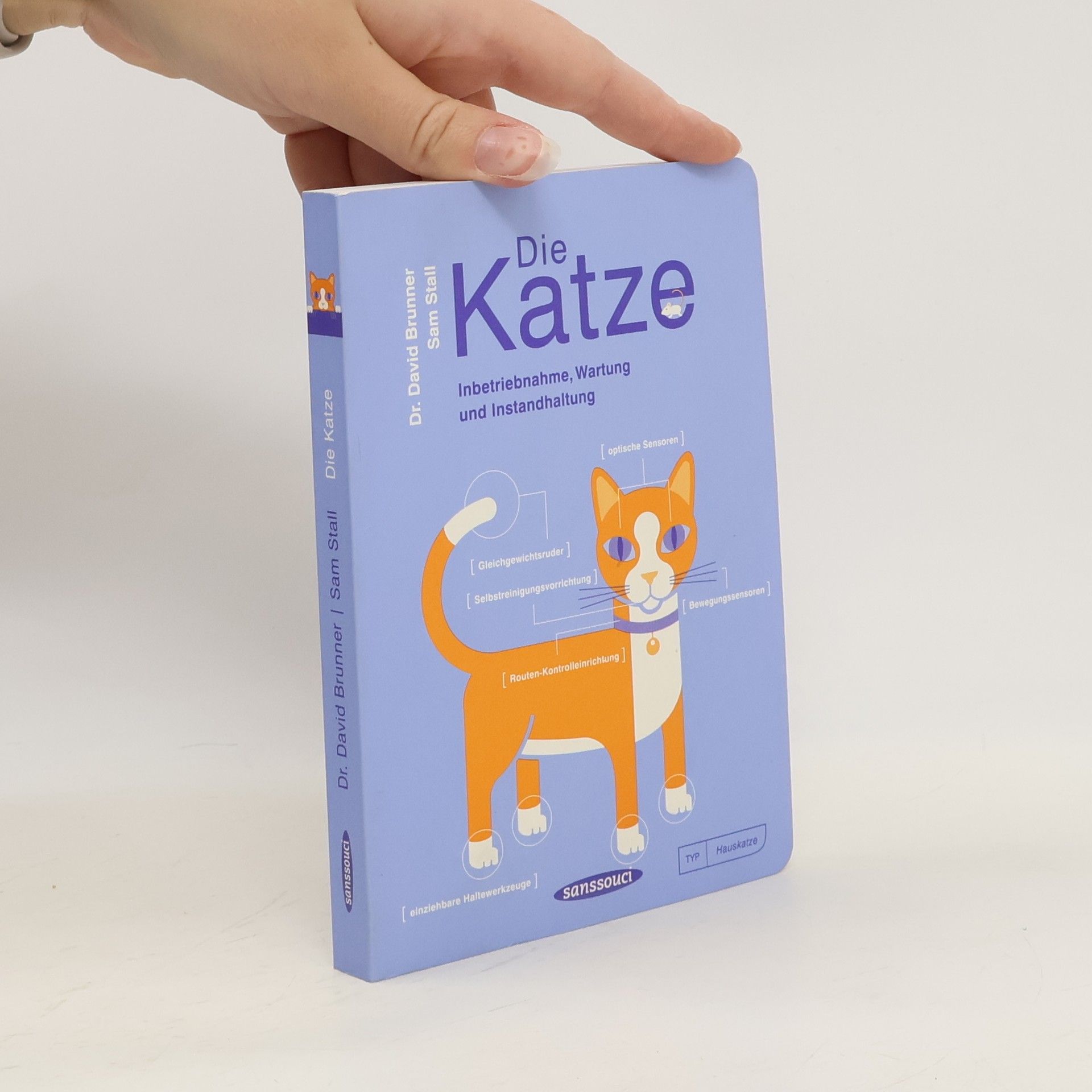 David Brunner Die Katze