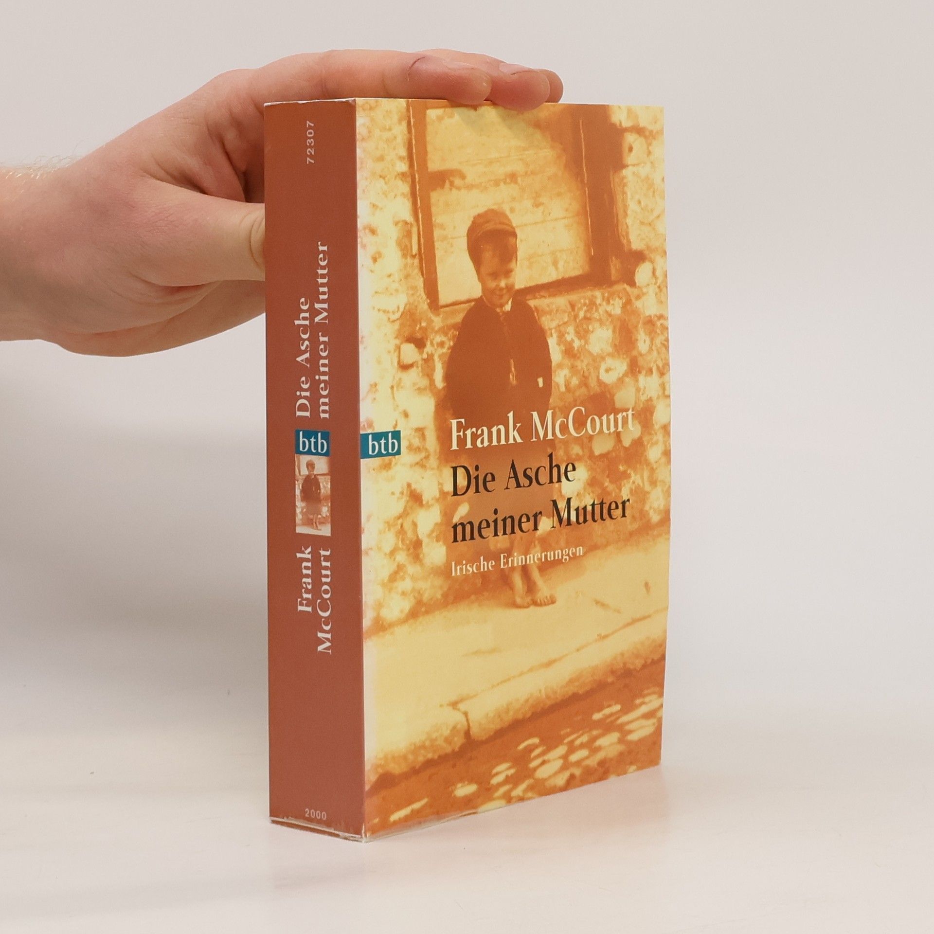 Frank McCourt Die Asche meiner Mutter