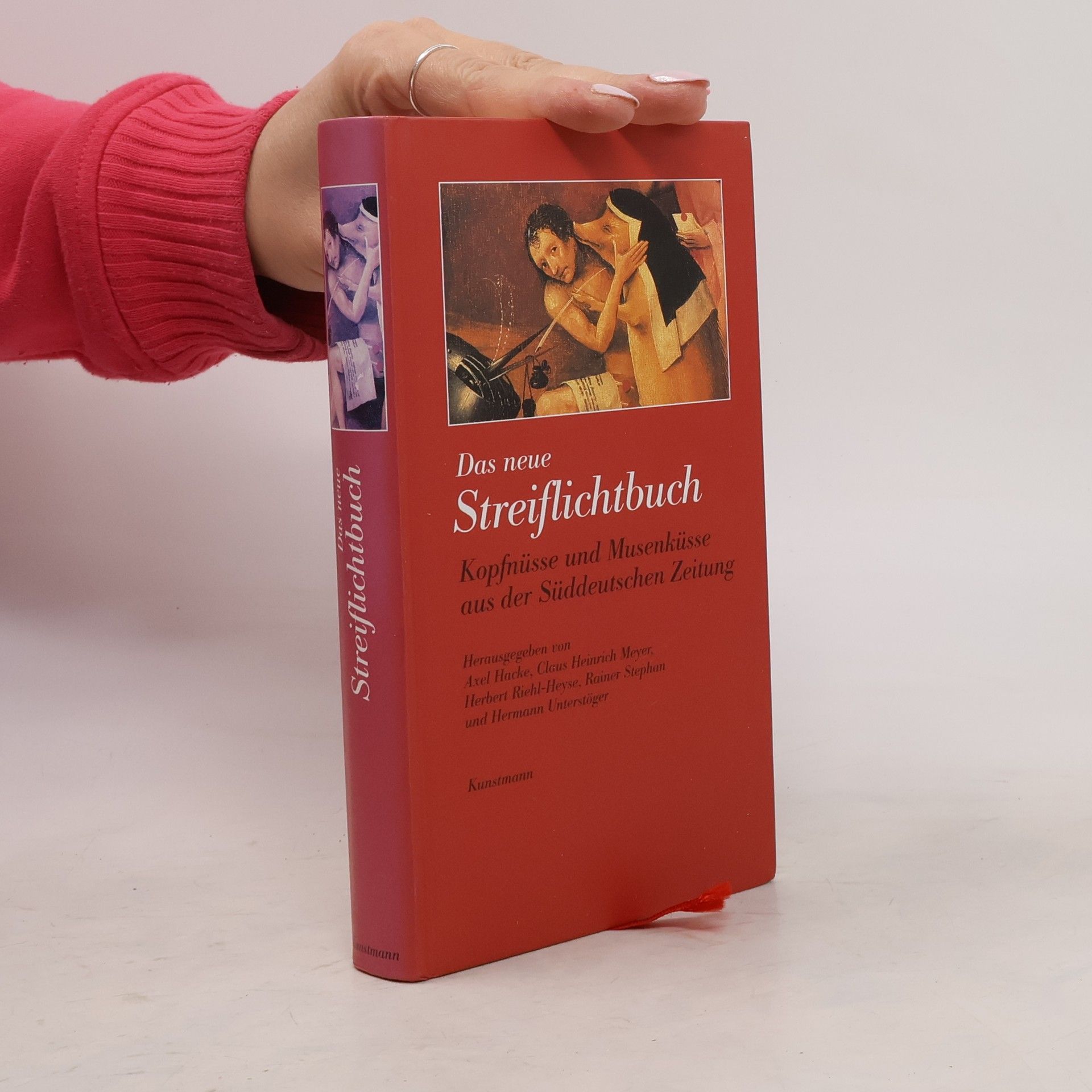 Axel Hacke Das neue Streiflichtbuch