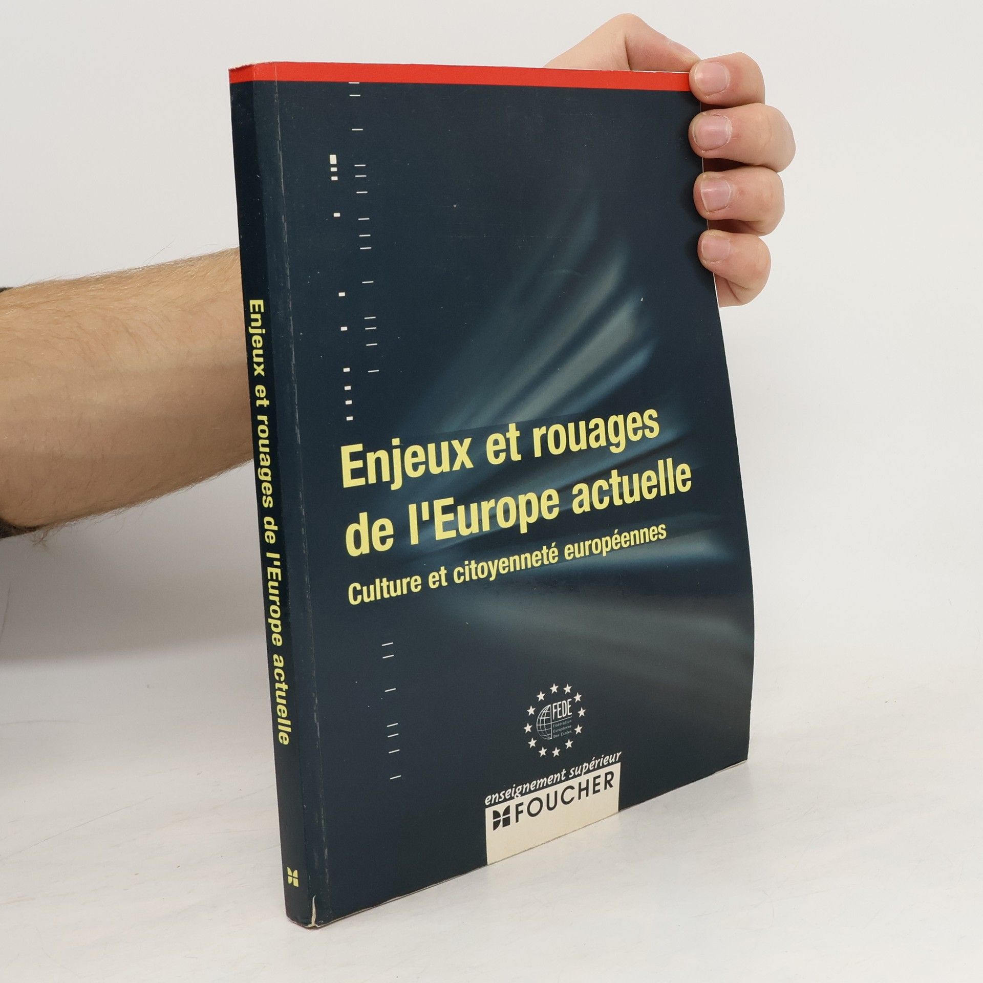 Patrice Bellanger Enjeux et rouages de l'Europe actuelle