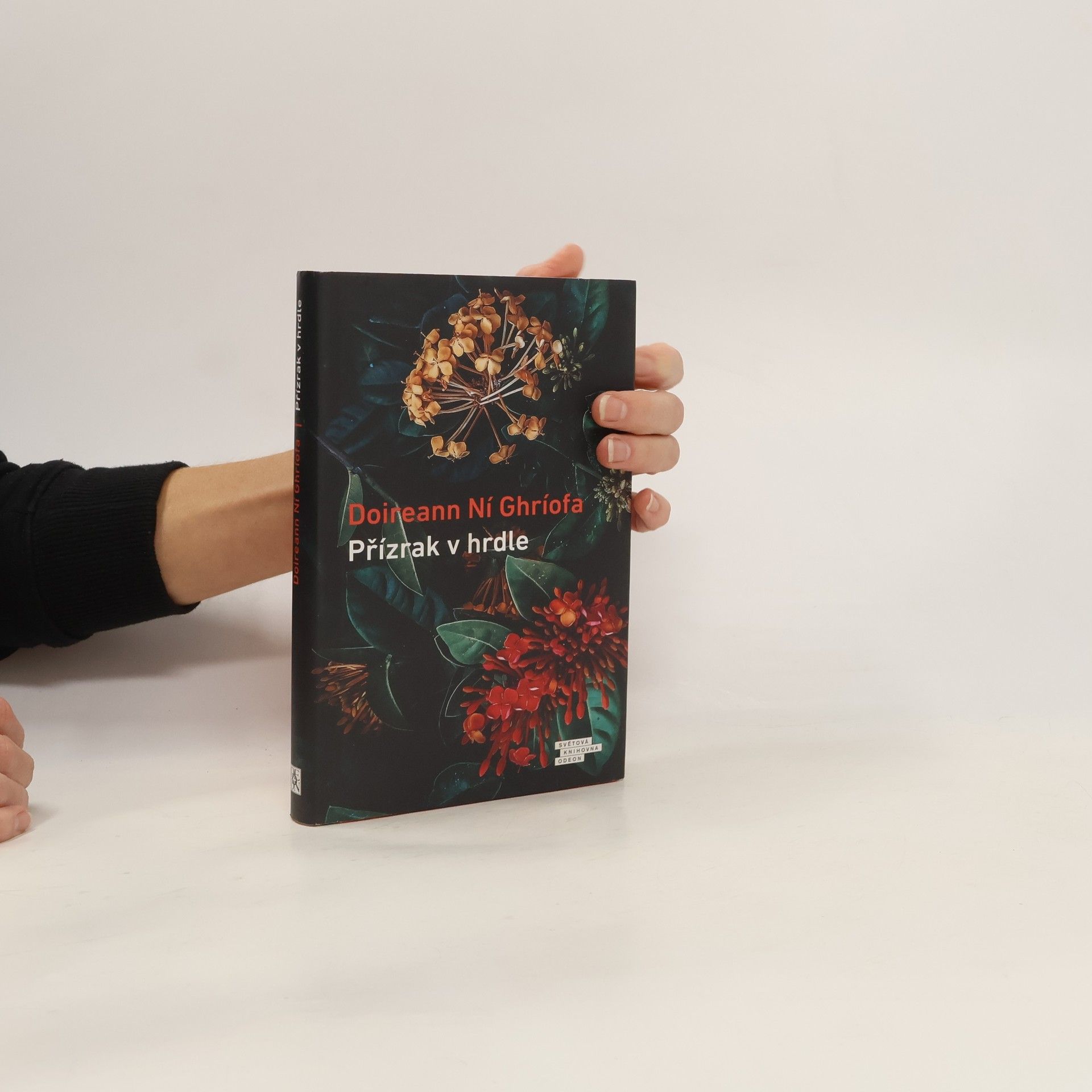 Doireann Ní Ghríofa Přízrak v hrdle
