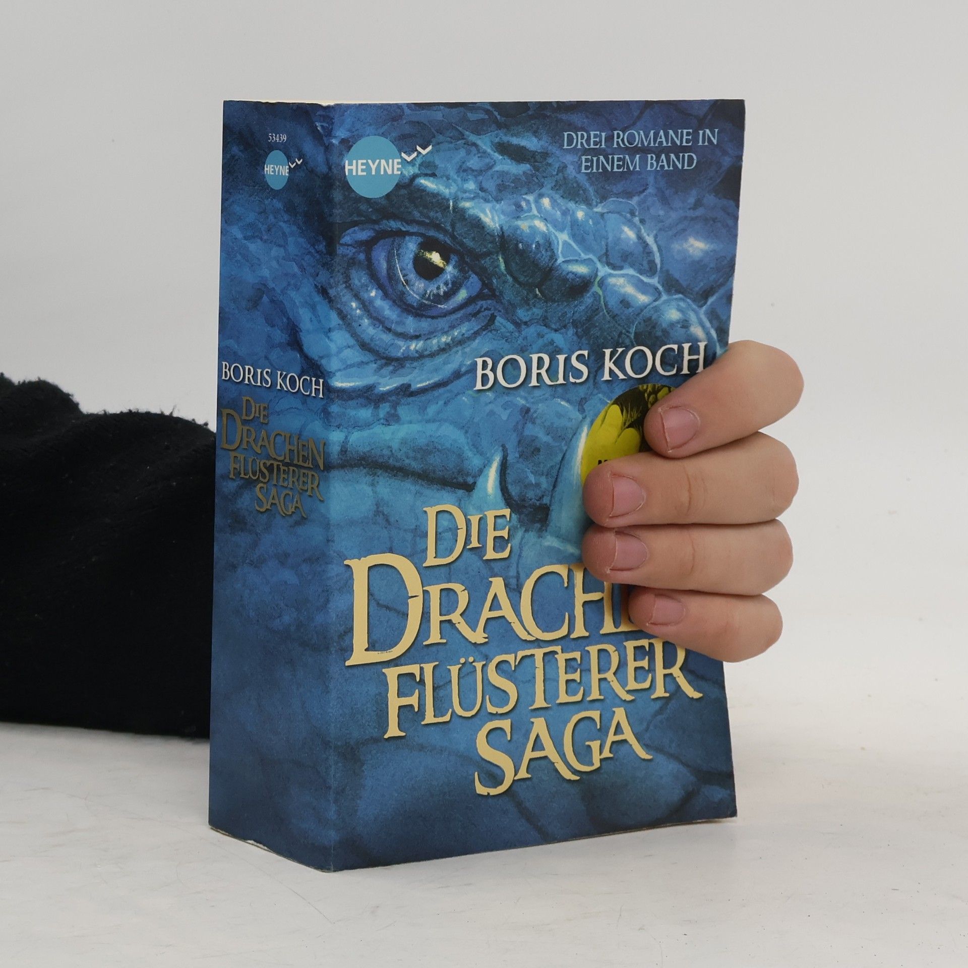 Boris Koch Die Drachenflüsterer-Saga