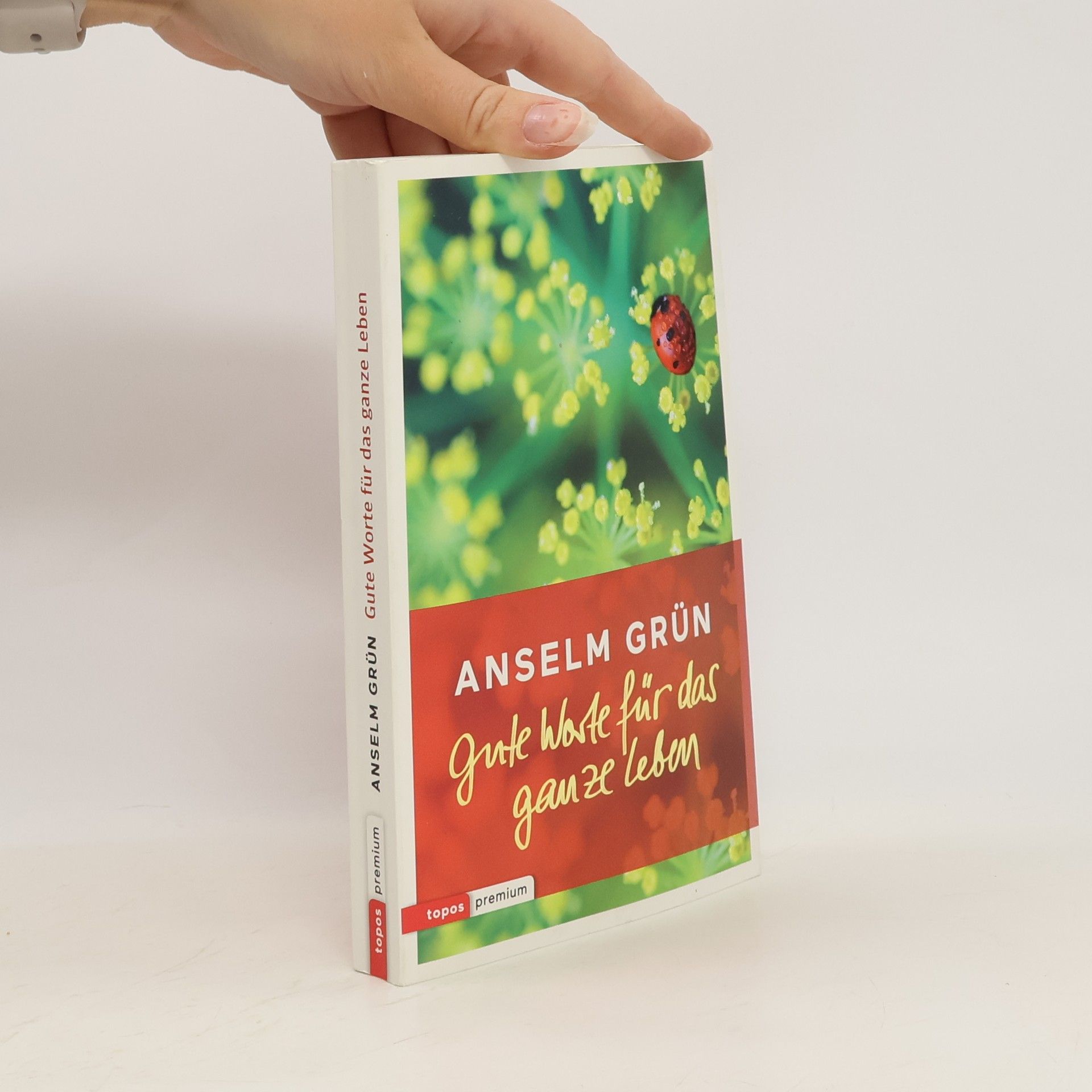 Anselm Grün Gute Worte für das ganze Leben