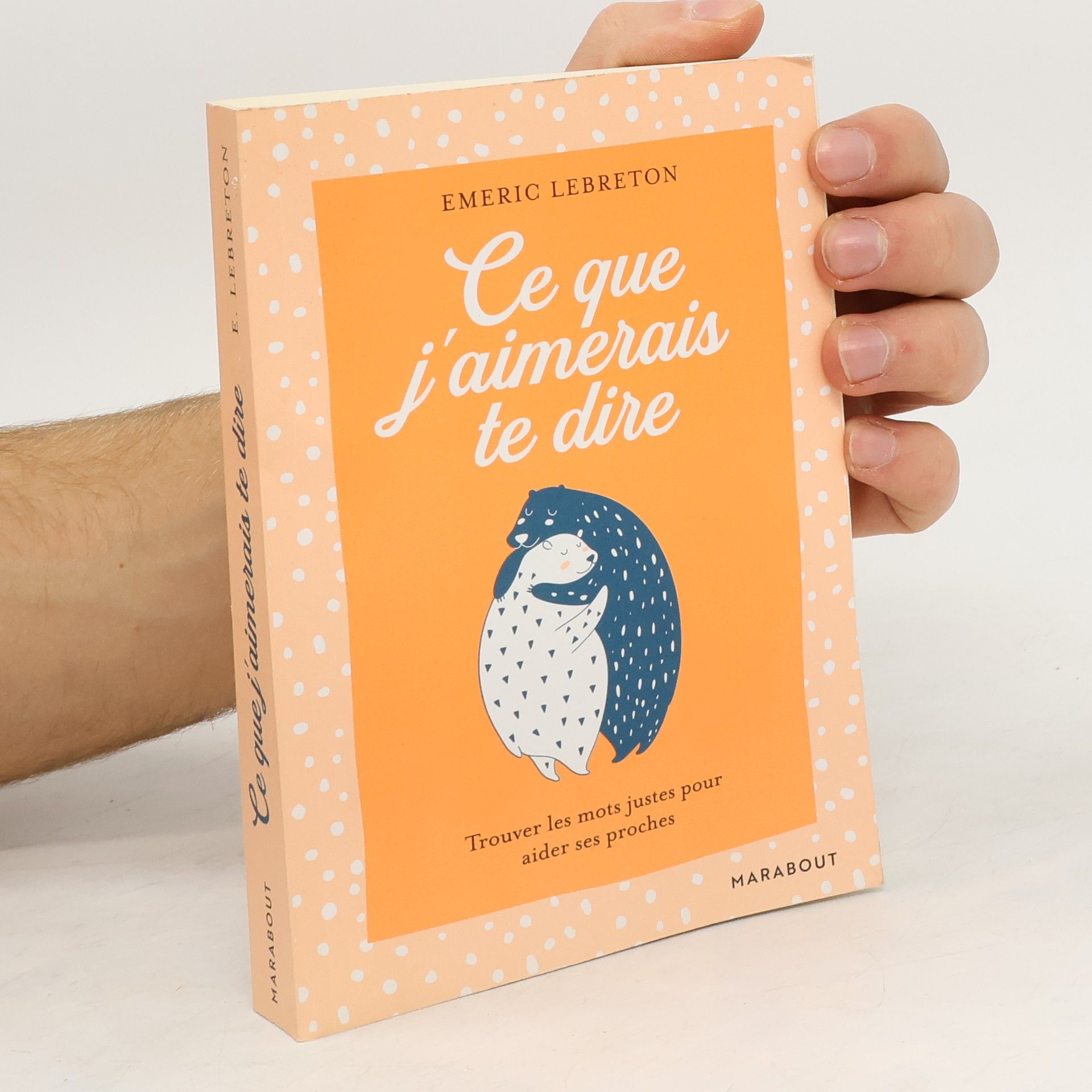 Emeric Lebreton Ce que j'aimerais te dire