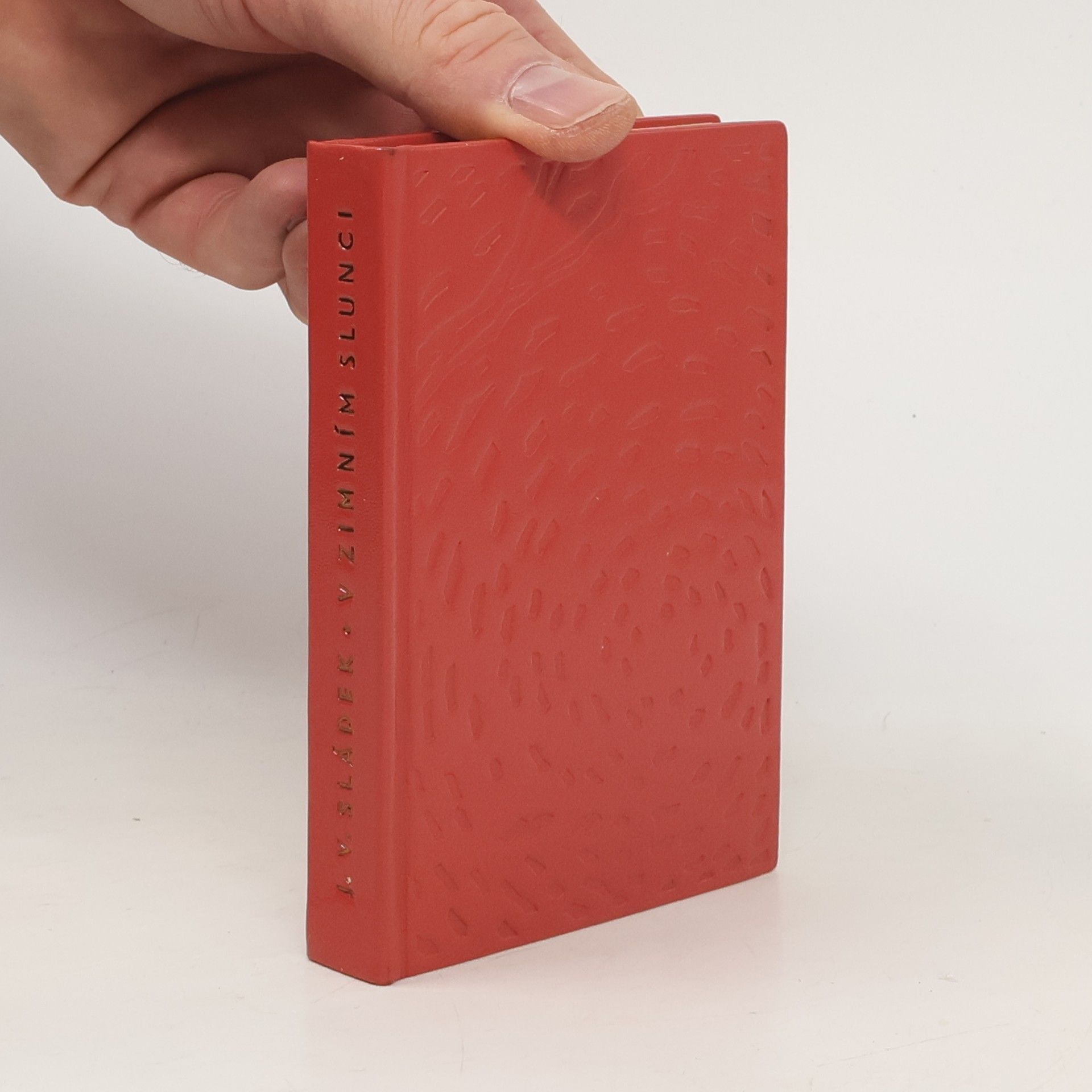 Josef Václav Sládek V zimním slunci