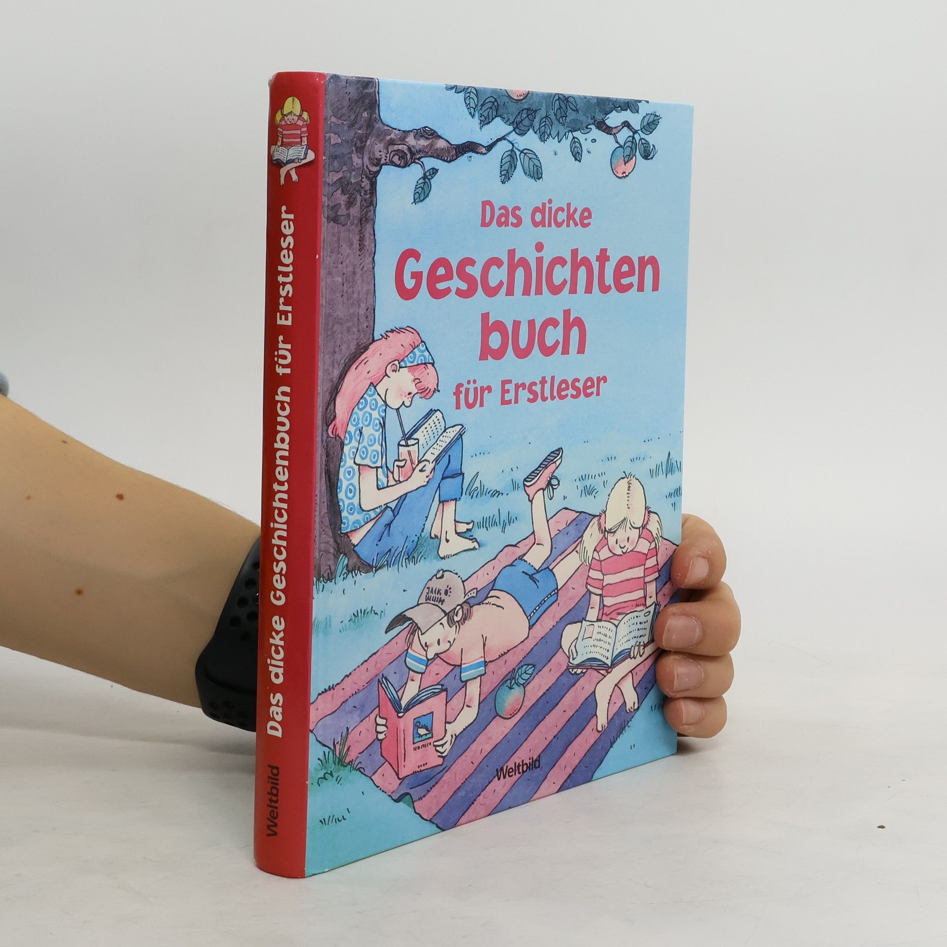 Various authors Das dicke Geschichtenbuch für Erstleser