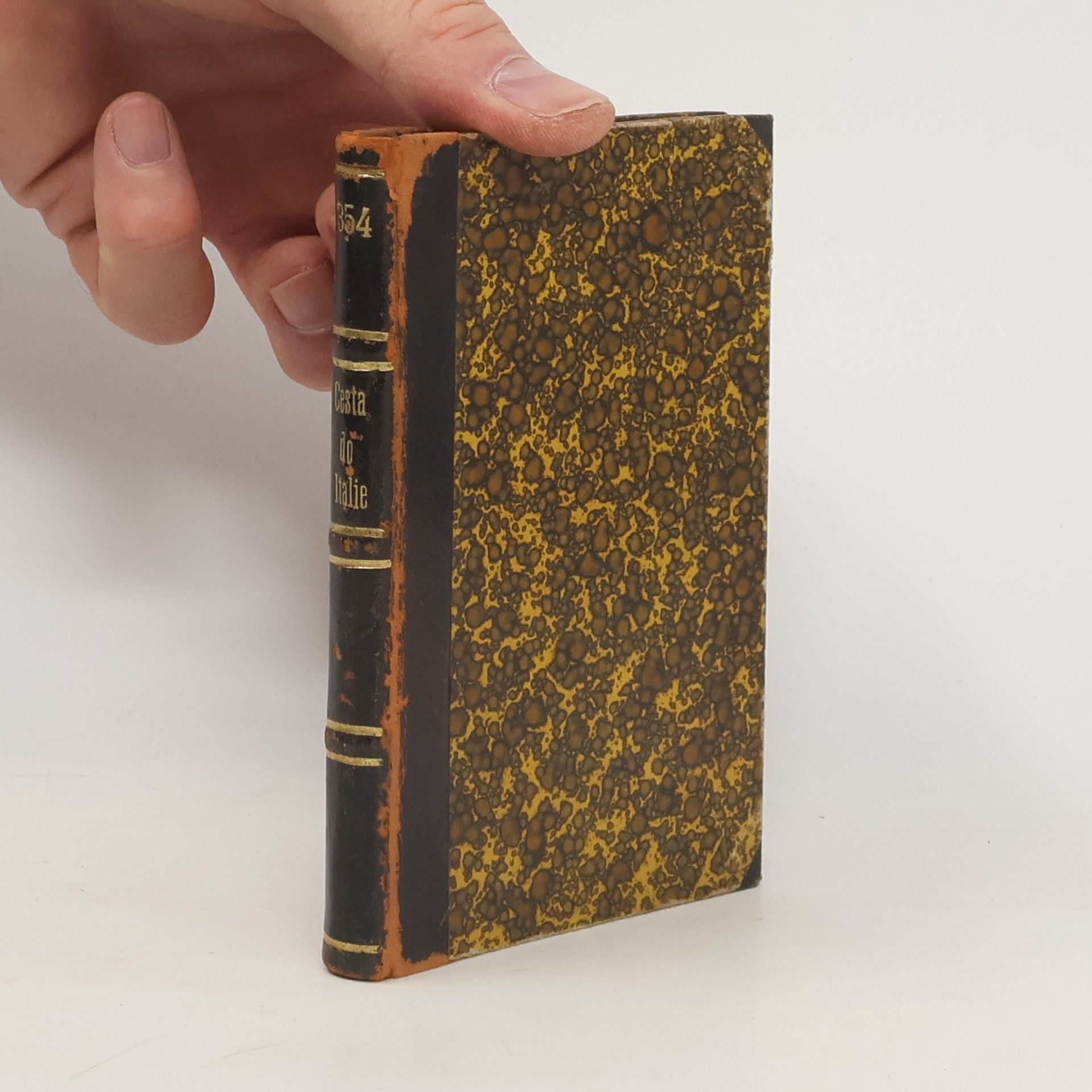 Matěj Milota Zdirad Polák Miloty Zdirada Poláka cesta do Italie IV.