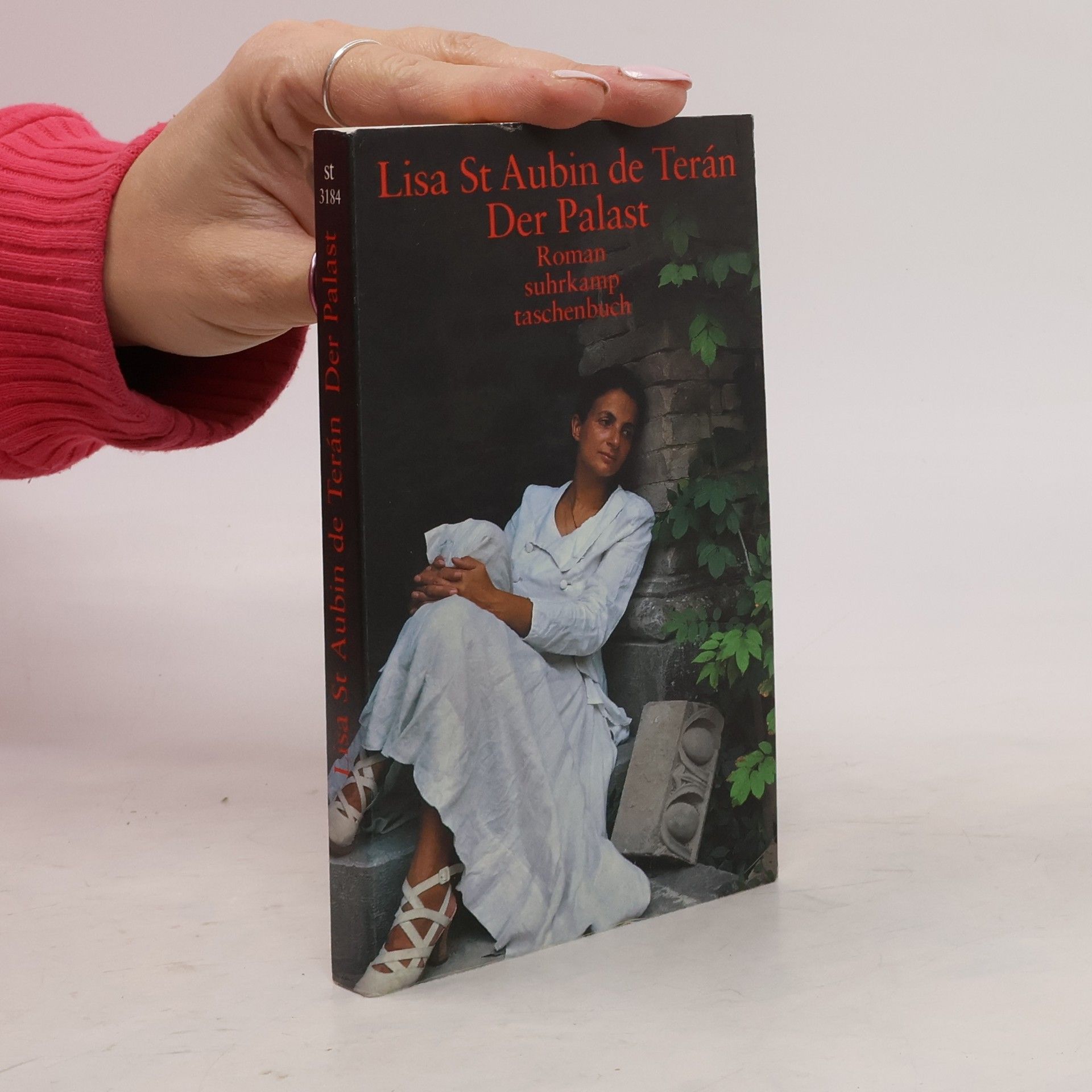 Lisa St Aubin deTerán Der Palast