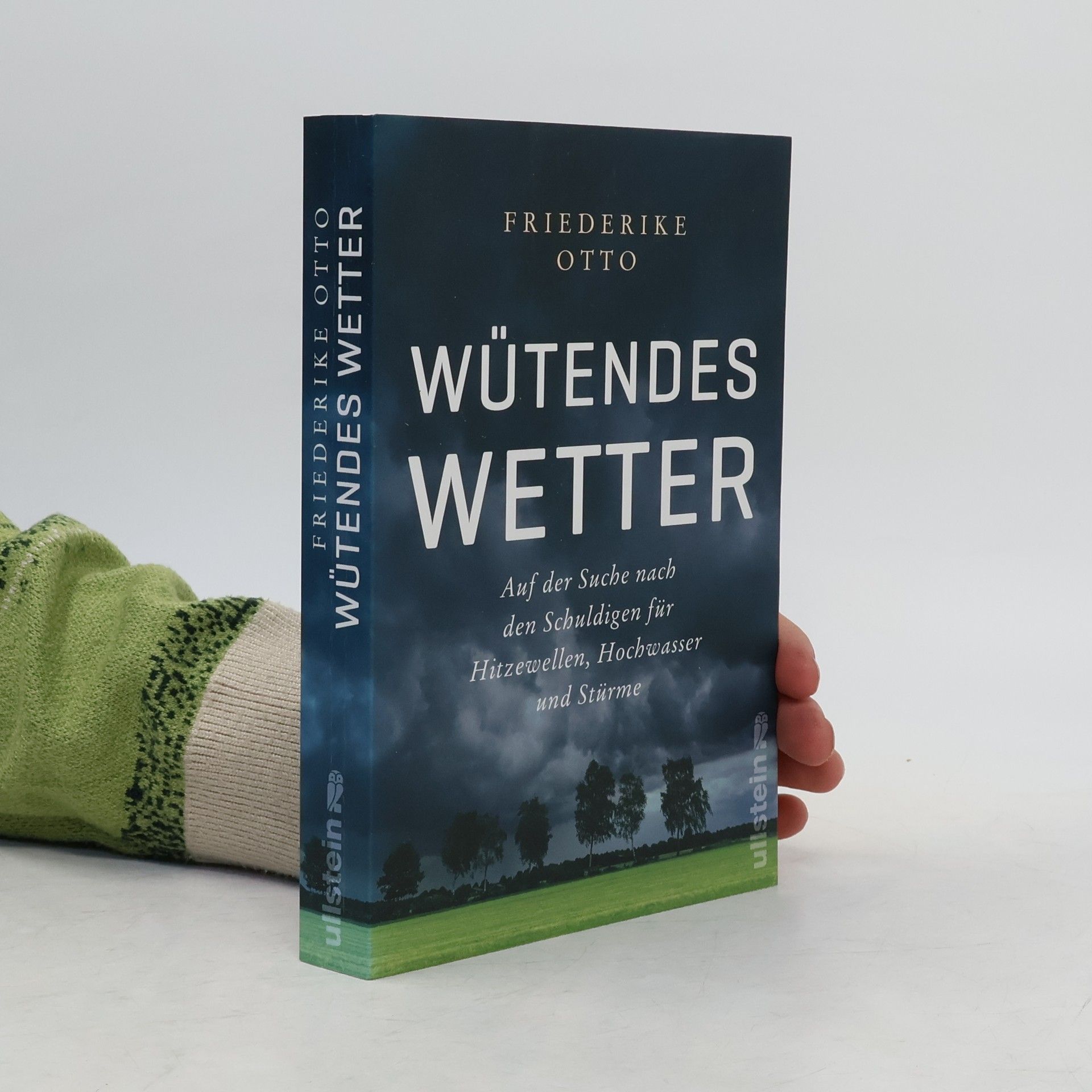 Friederike Otto Wütendes Wetter