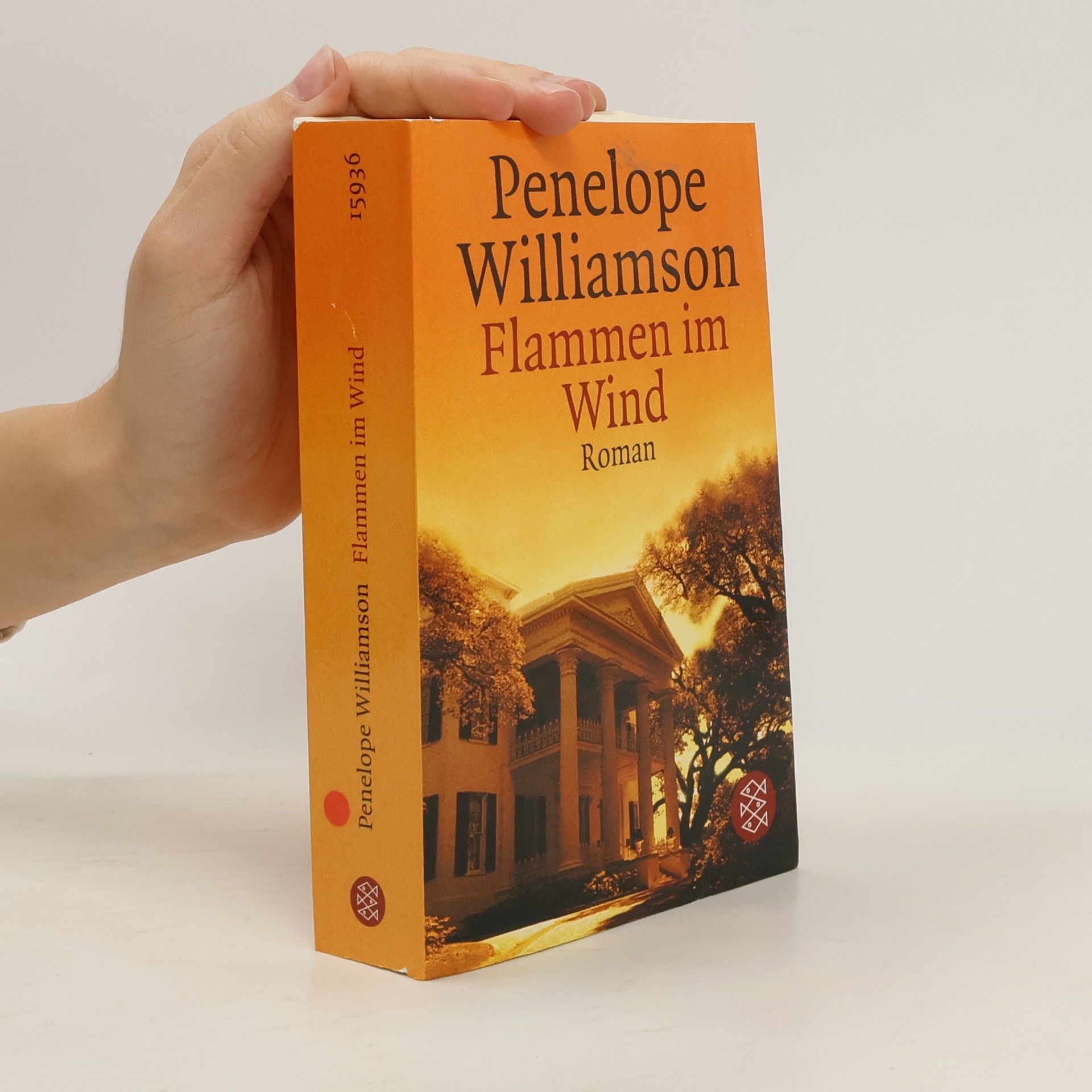 Penelope Williamson Flammen im Wind