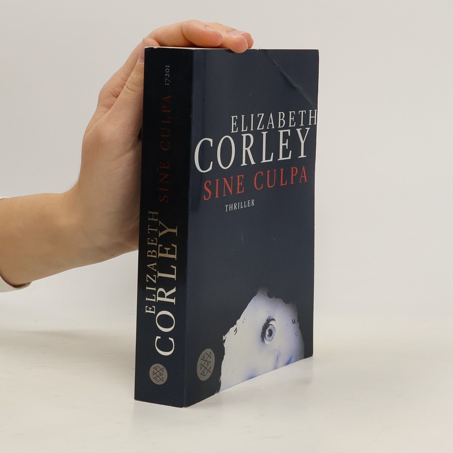 Elizabeth Corley Sine Culpa