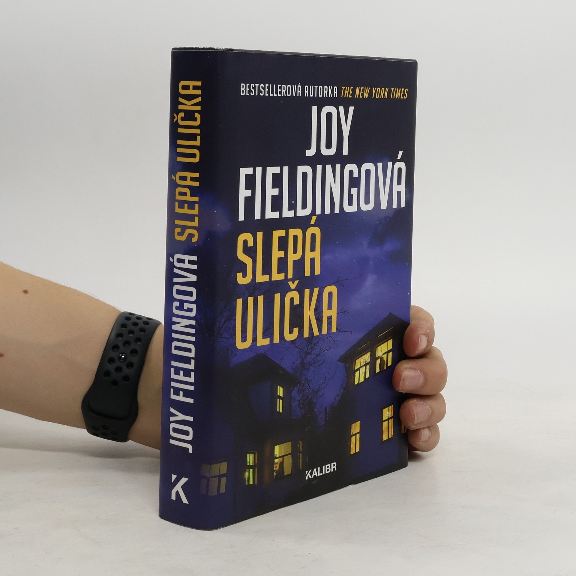 Joy Fielding Slepá ulička