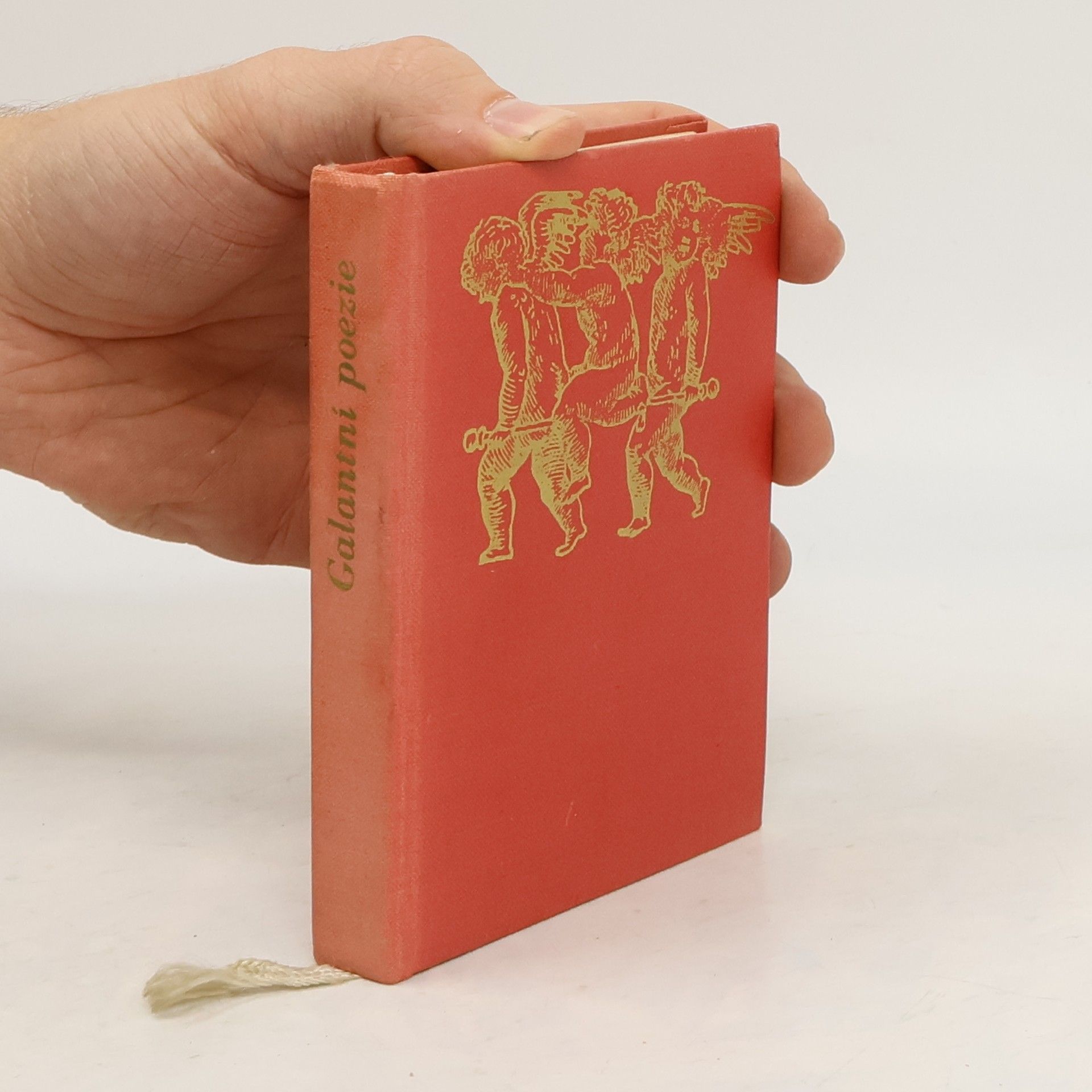 Kolektiv autorů Galantní poezie