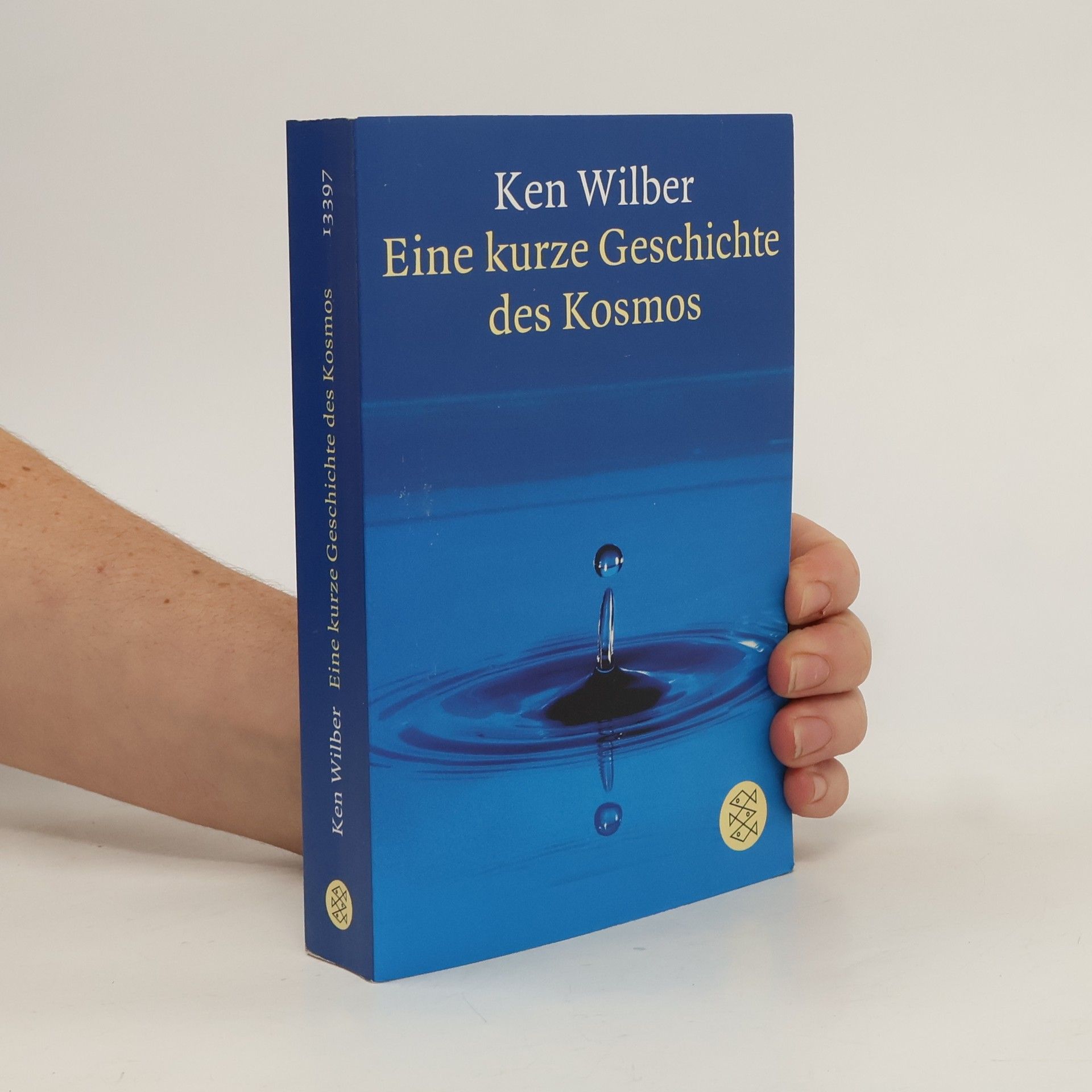 Ken Wilber Eine kurze Geschichte des Kosmos