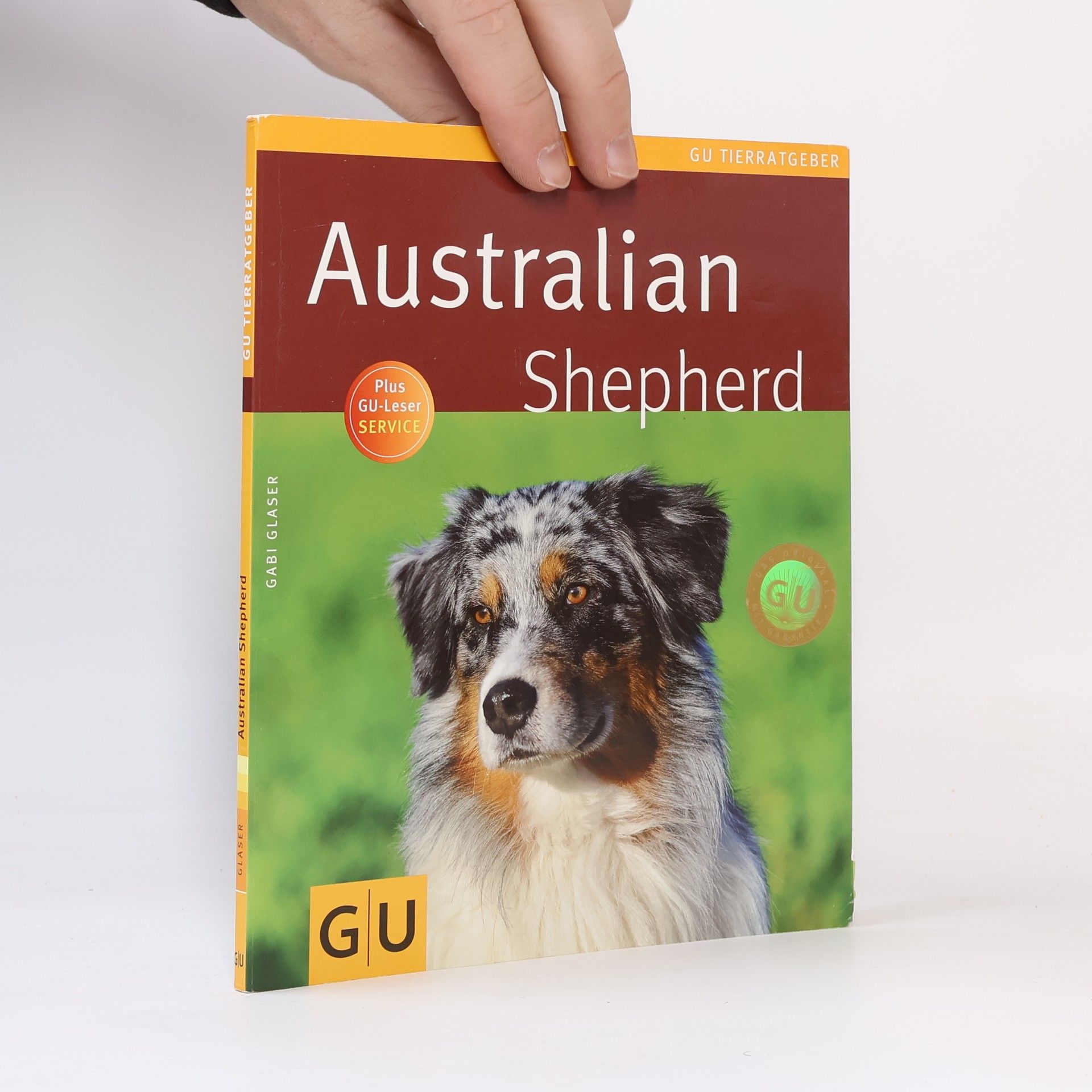 Gabi Glaser Australian Shepherd