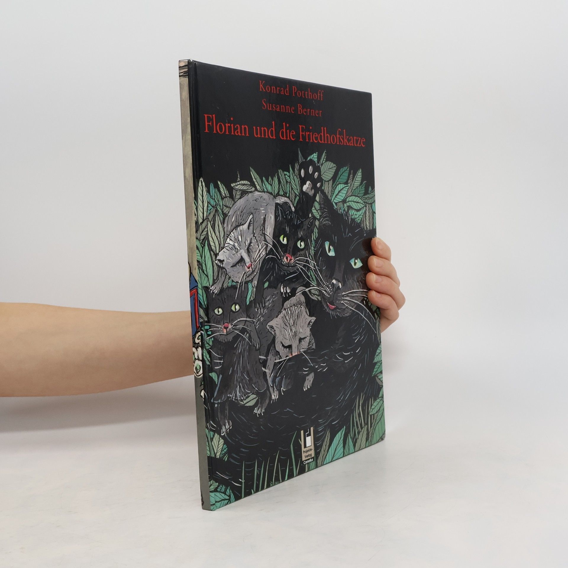 Florian und die Friedhofskatze