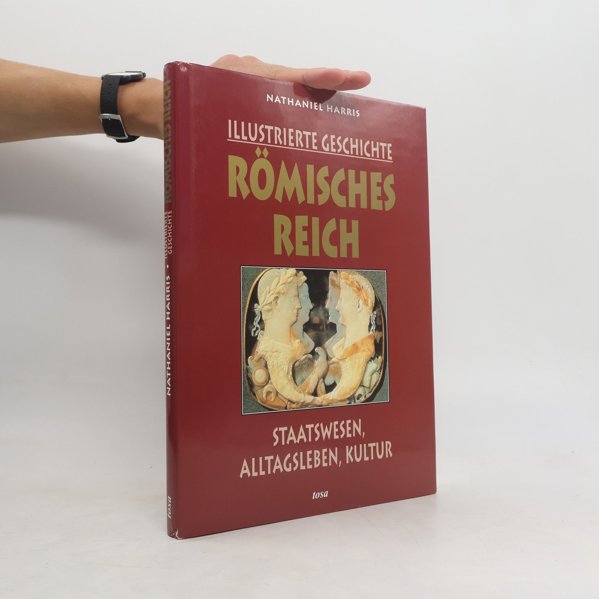 Nathaniel Harris Illustrierte Geschichte Römisches Reich. Staatswesen, Alltagsleben, Kultur