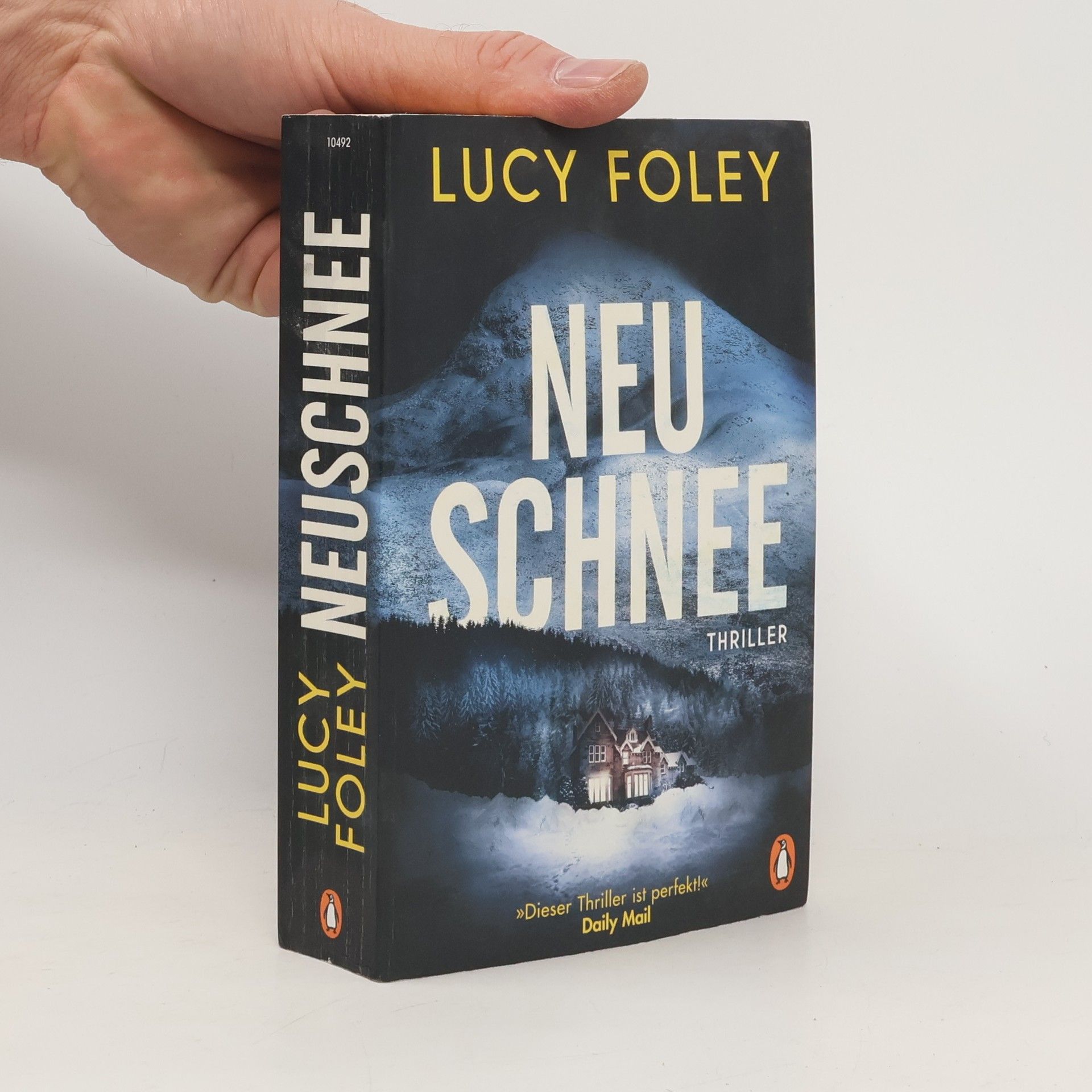 Lucy Foley Neuschnee