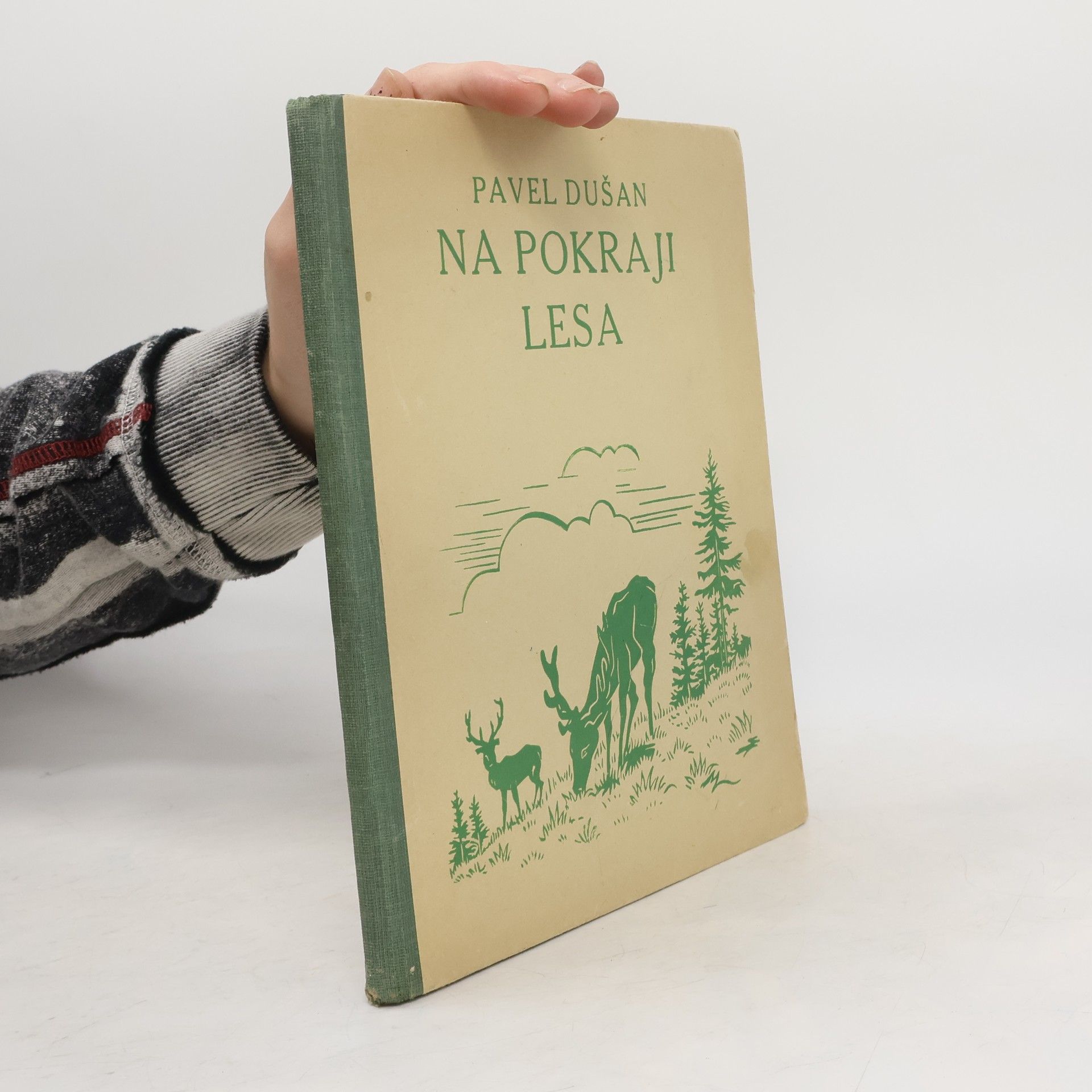 Pavel Dušan Na pokraji lesa