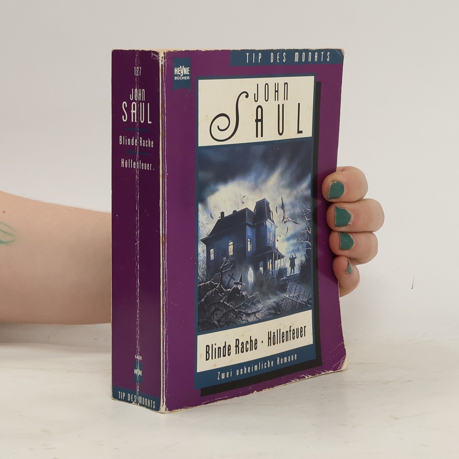 John Saul Blinde Rache