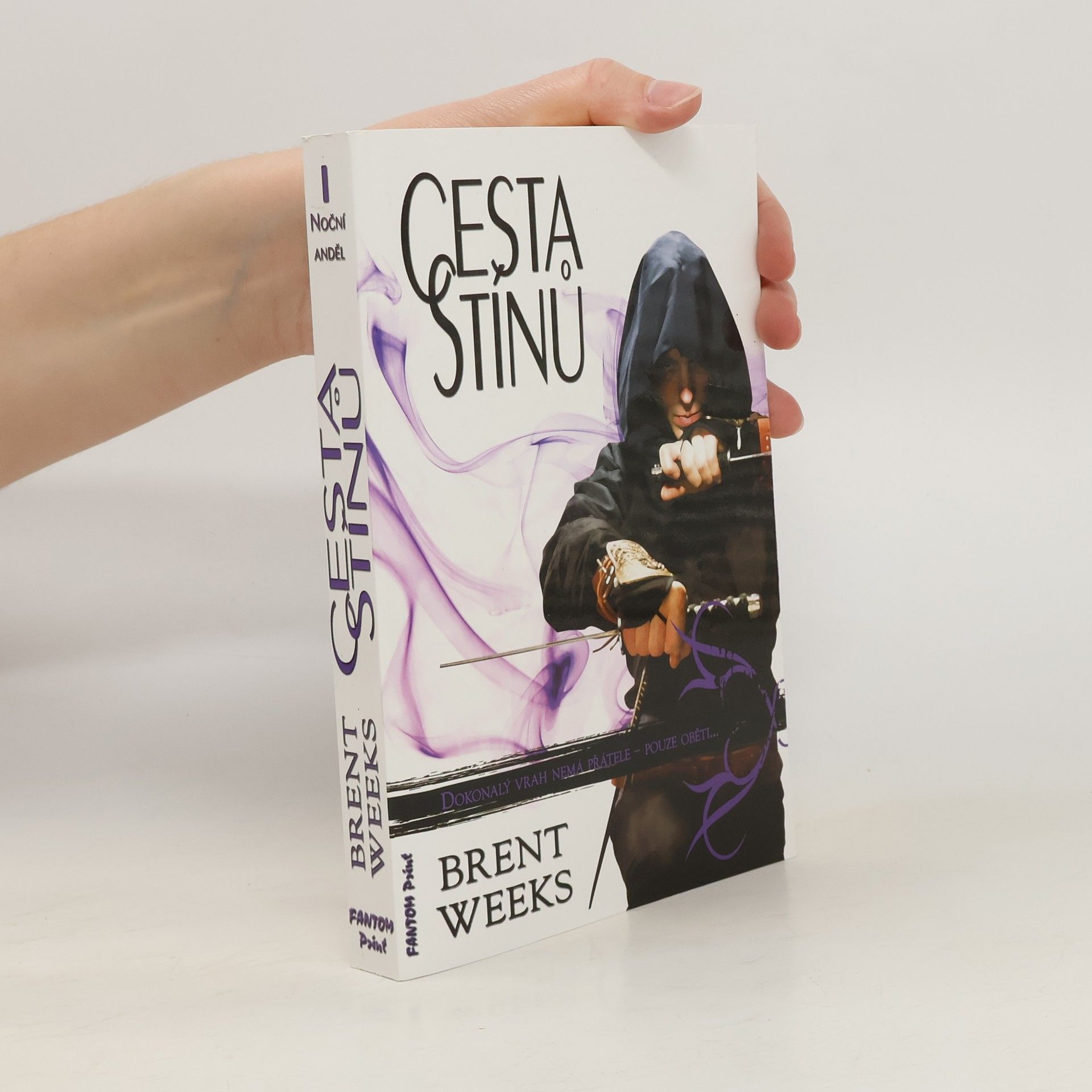 Brent Weeks Cesta stínů