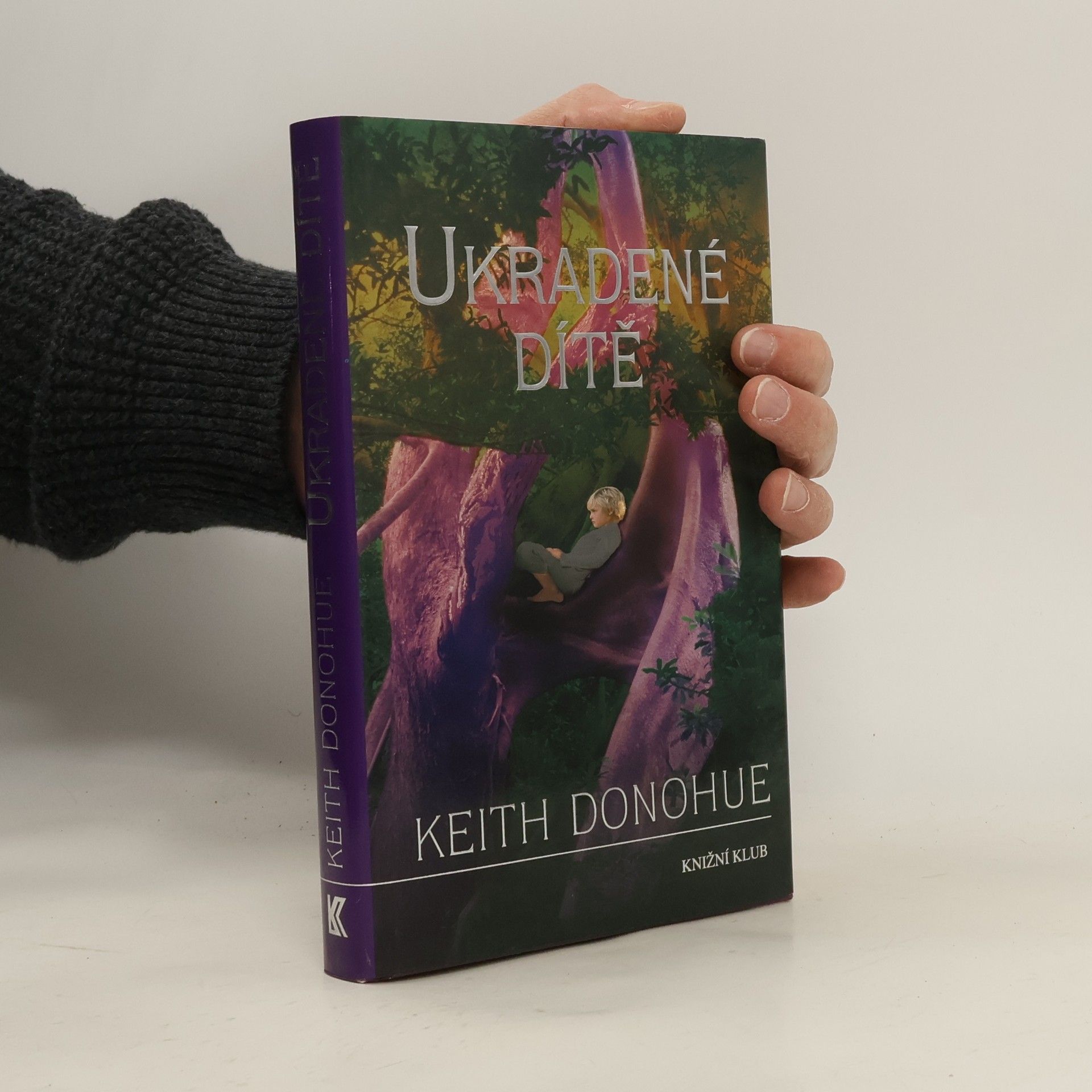 Keith Donohue Ukradené dítě