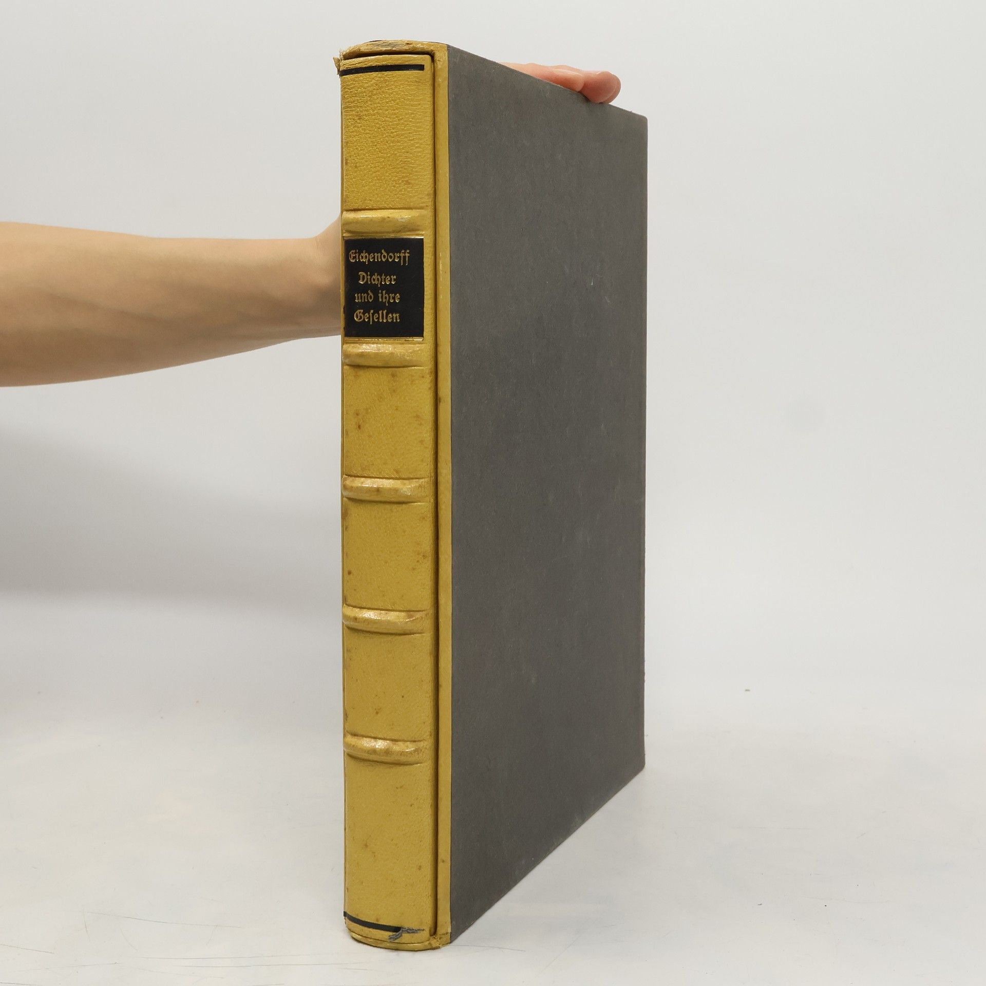 Joseph von Eichendorff Dichter und ihre Gesellen (nummerierte Ausgabe)