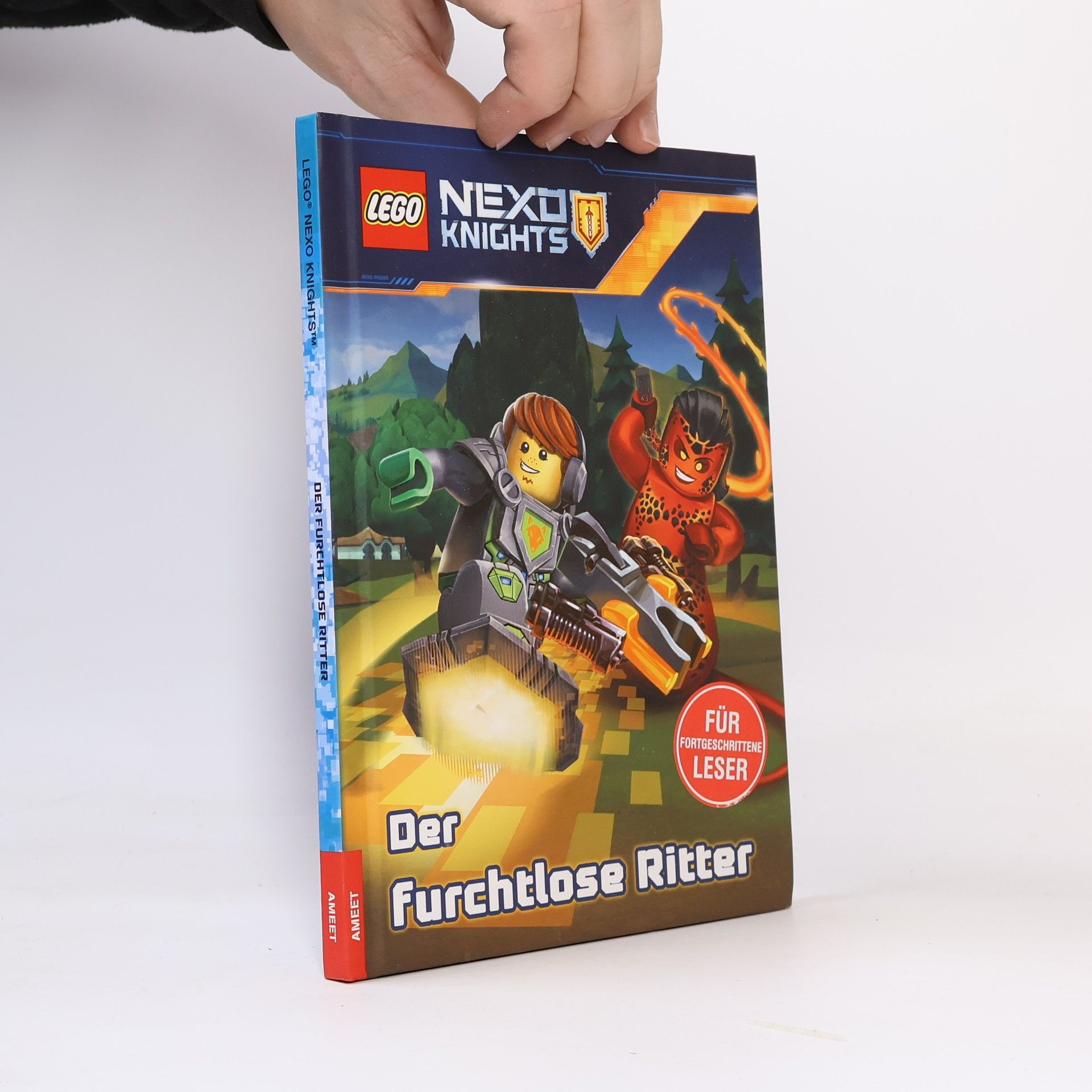 Kate Howard Der furchtlose Ritter