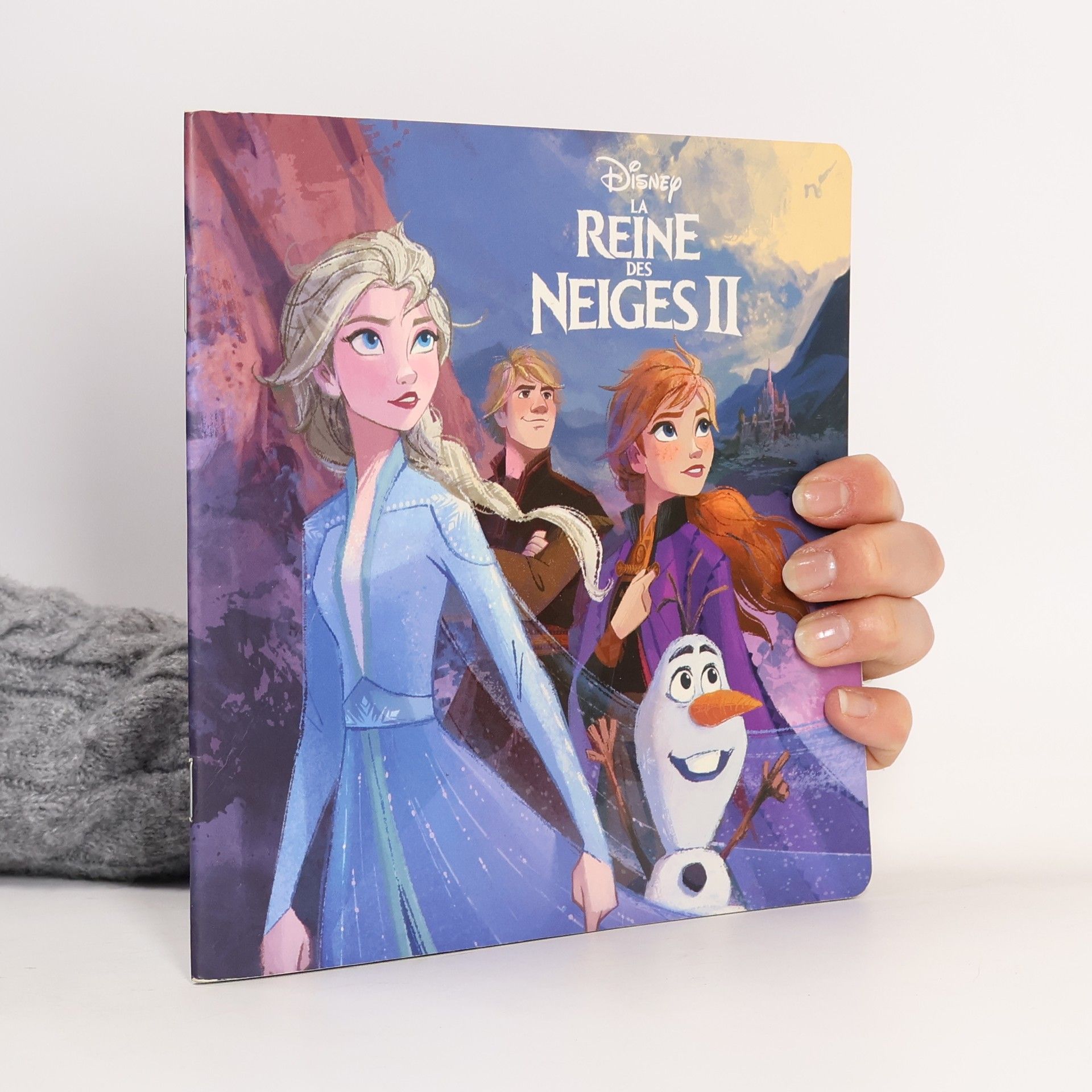 Kolektív autorov La Reine des neiges II