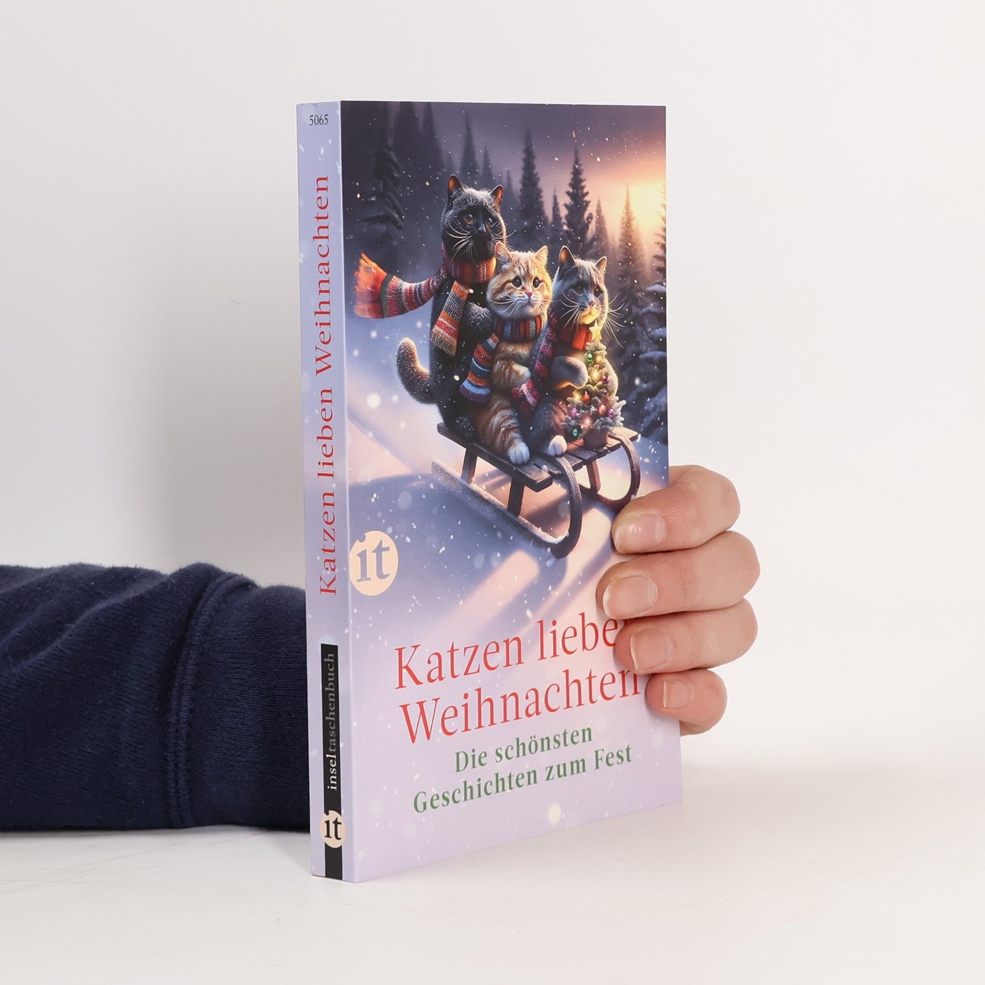 Katzen lieben Weihnachten. Die schönsten Geschichten zum Fest | EIn Geschenkbuch für Katzenfans und die ganze Familie