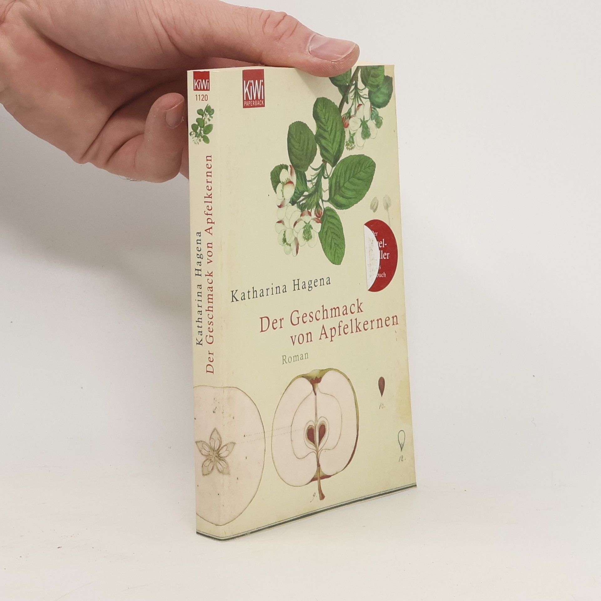 Katharina Hagena Der Geschmack von Apfelkernen