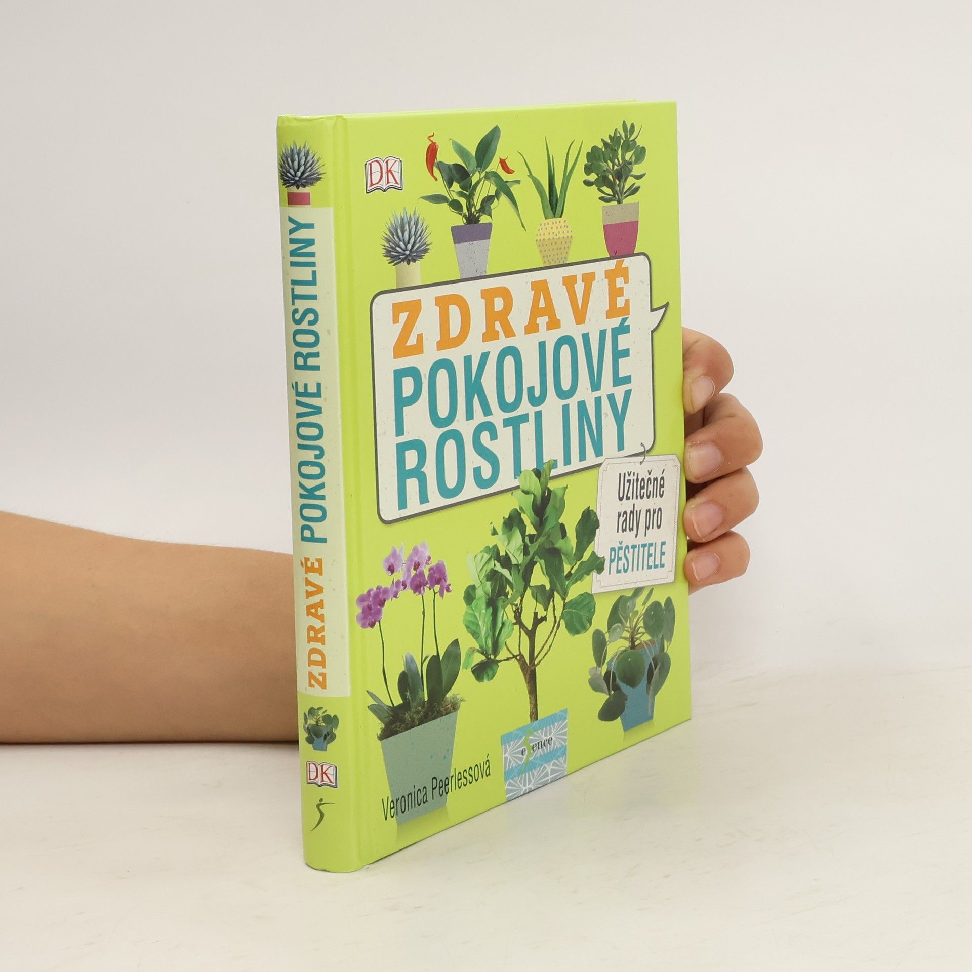 Zdravé pokojové rostliny: Užitečné rady pro pěstitele