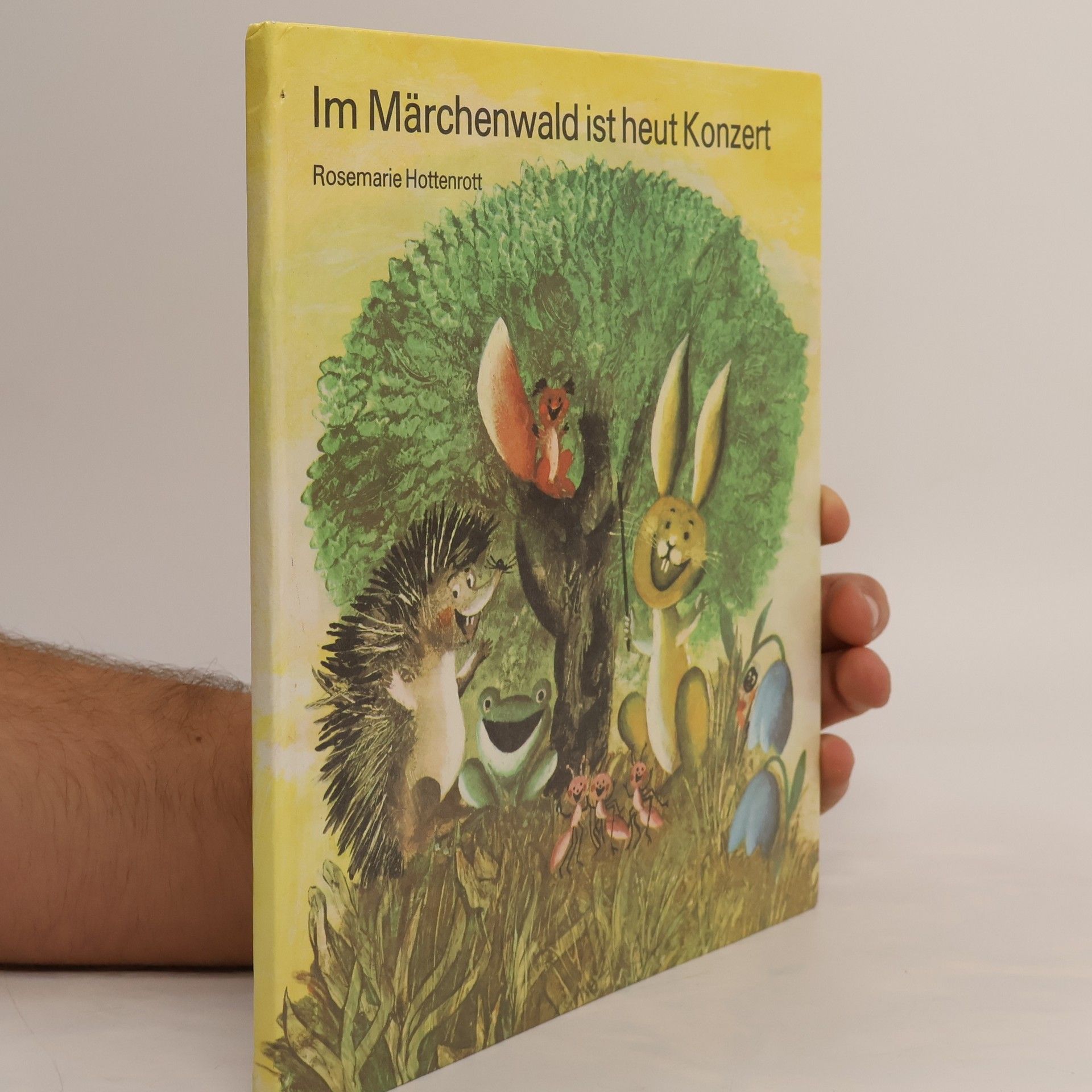 Im Märchenwald ist heut Konzert