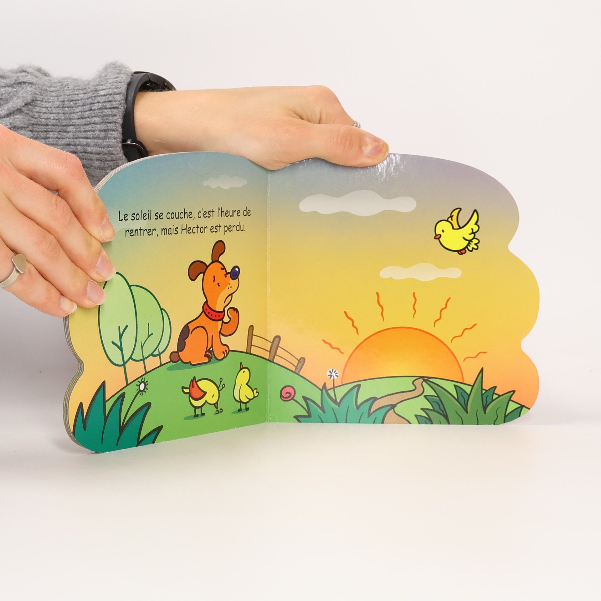 Collectif d'auteurs Hector le chien