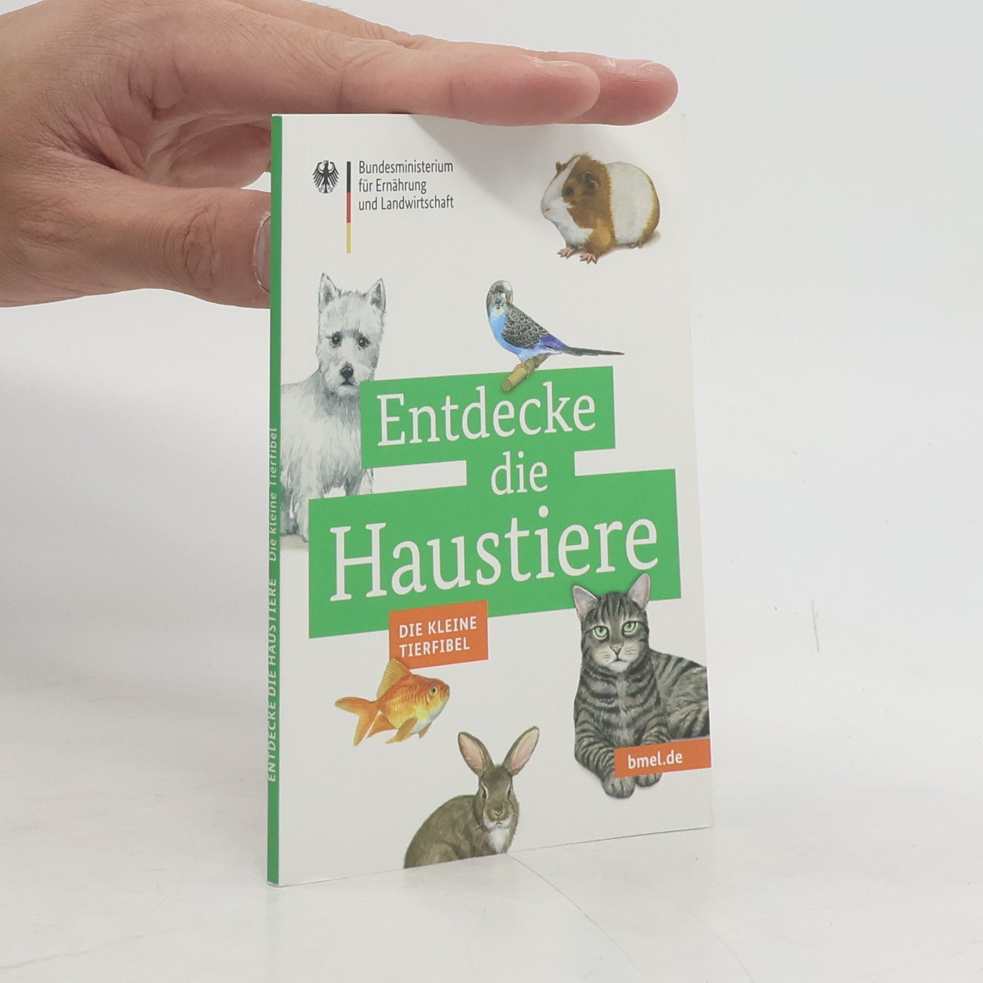 Autores varios Entdecke die Haustiere