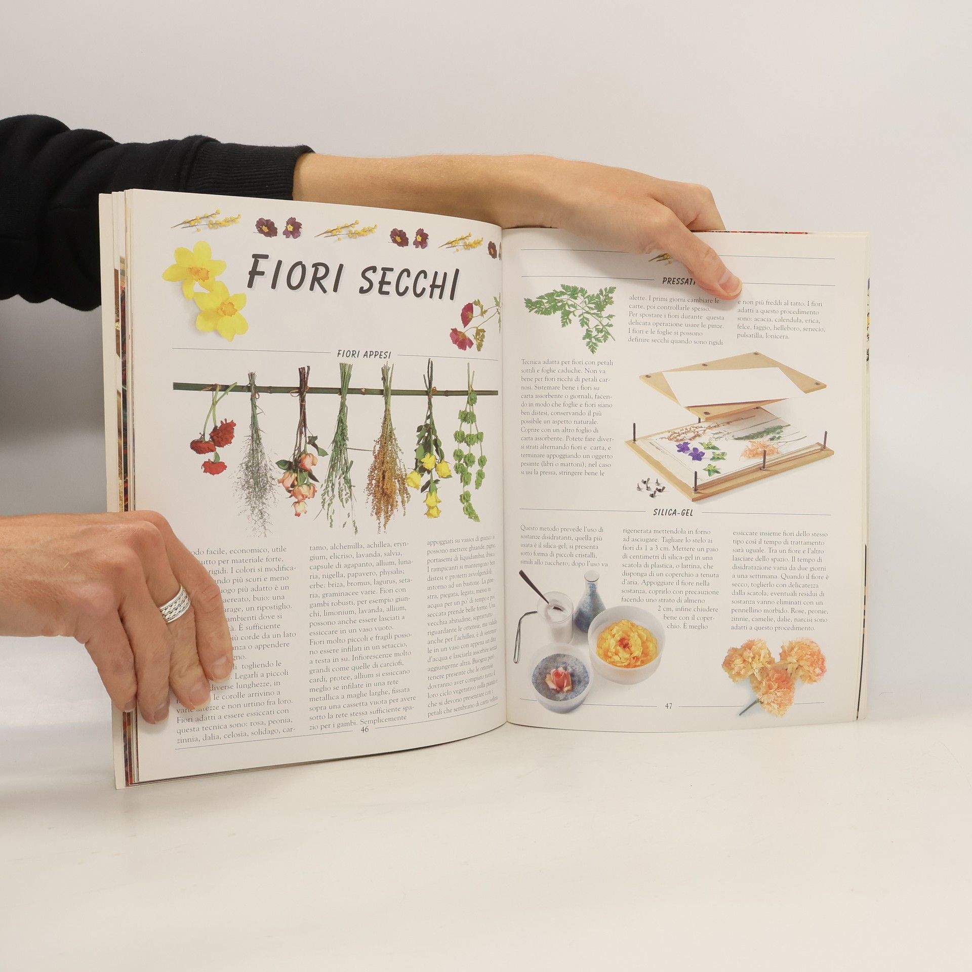 Autores varios Pacchetti