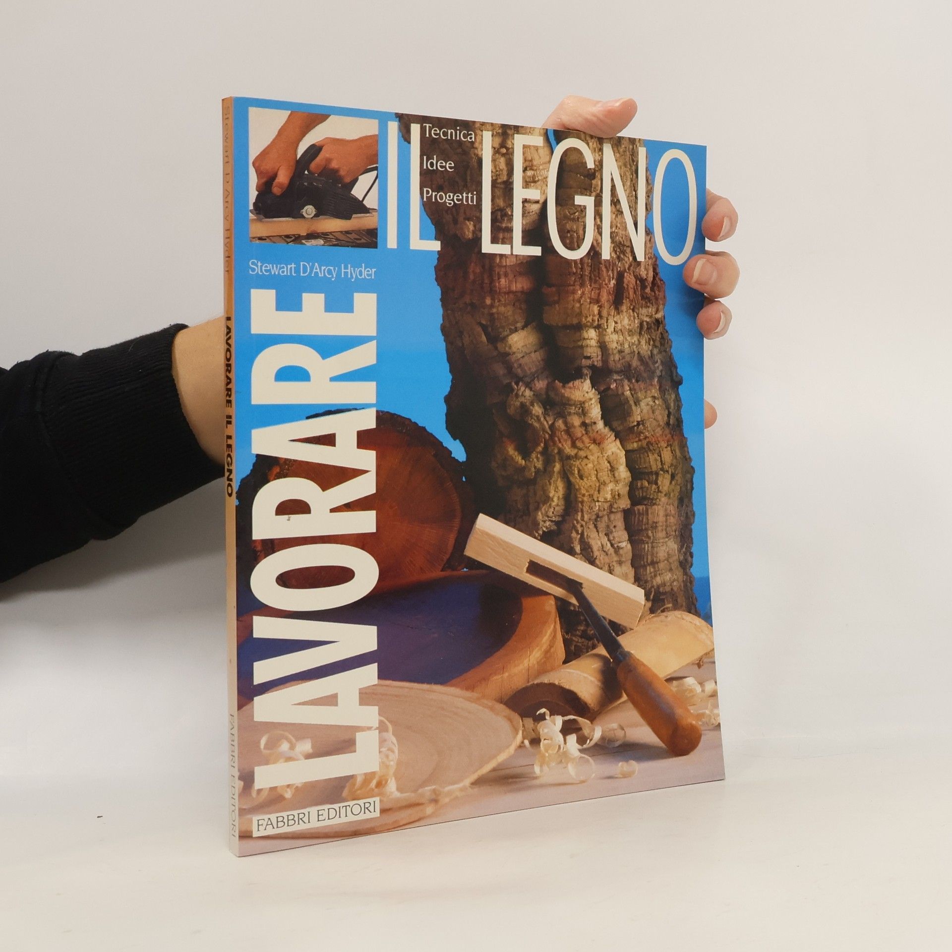 Stewart D'Arcy Hyder Lavorare il legno